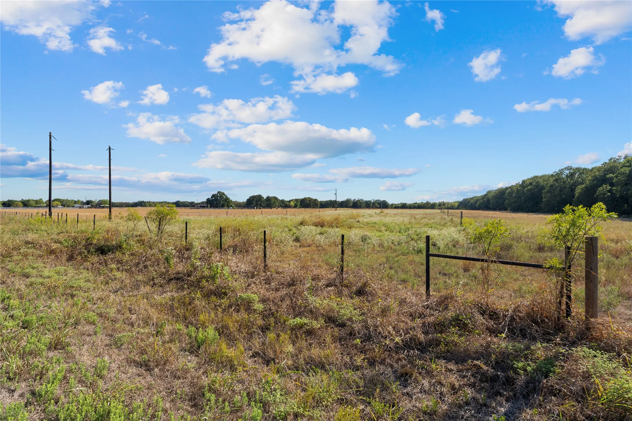 Improved Land For Sale in Falls County , 299 CR 155, Marlin, Texas 76661, 0, 0, Garage spaces, 0 Sqft, built in 0, mls#21401444, Real Estate Agent in Marlin, Homes For Sale in Falls county, Homes For Sale in Marlin, Realtor in Marlin Texas, Real Estate Brokerage Independent Realty Texas, Luminita Cordes Realtor