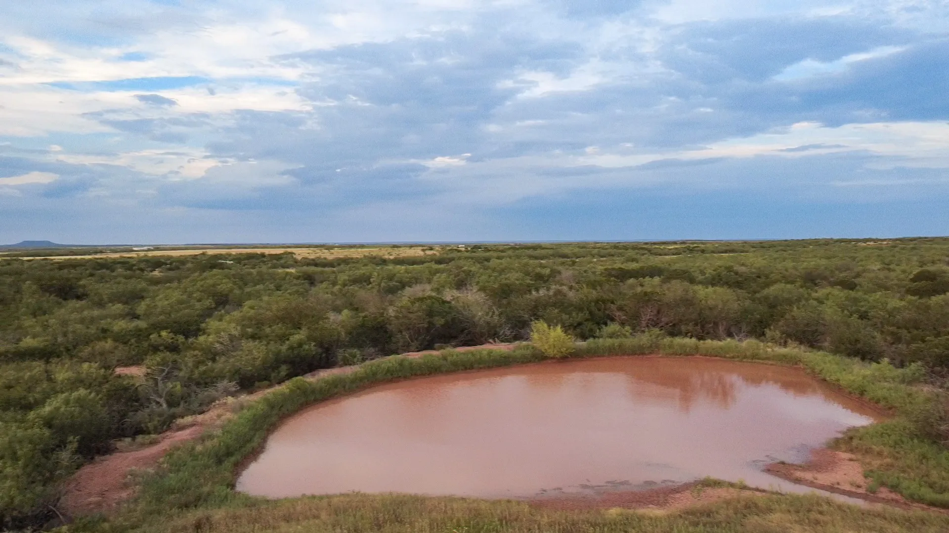 Ranch For Sale in Runnels County , TBD County Road 175, Winters, Texas 79567, 0, 0, Garage spaces, 0 Sqft, built in 0, mls#21398172, Real Estate Agent in Winters, Homes For Sale in Runnels county, Homes For Sale in Winters, Realtor in Winters Texas, Real Estate Brokerage Independent Realty Texas, Luminita Cordes Realtor