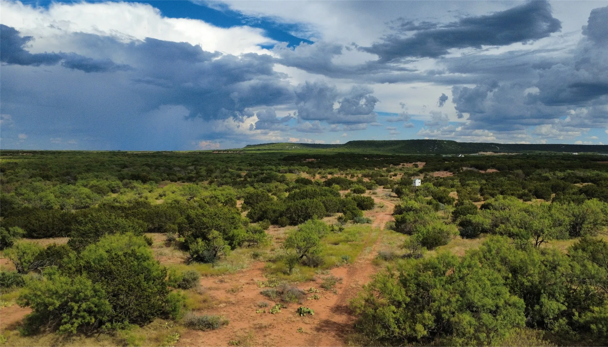 Ranch For Sale in Runnels County , TBD County Road 175, Winters, Texas 79567, 0, 0, Garage spaces, 0 Sqft, built in 0, mls#21398172, Real Estate Agent in Winters, Homes For Sale in Runnels county, Homes For Sale in Winters, Realtor in Winters Texas, Real Estate Brokerage Independent Realty Texas, Luminita Cordes Realtor