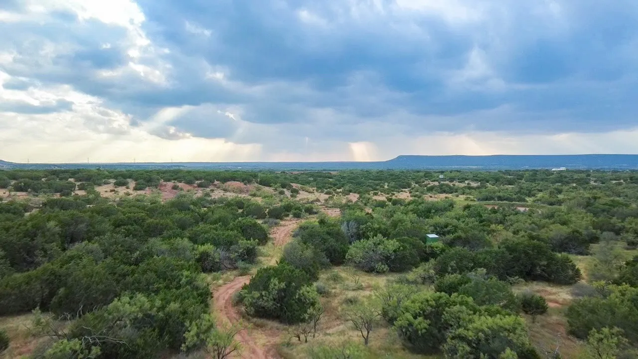 Ranch For Sale in Runnels County , TBD County Road 175, Winters, Texas 79567, 0, 0, Garage spaces, 0 Sqft, built in 0, mls#21398172, Real Estate Agent in Winters, Homes For Sale in Runnels county, Homes For Sale in Winters, Realtor in Winters Texas, Real Estate Brokerage Independent Realty Texas, Luminita Cordes Realtor