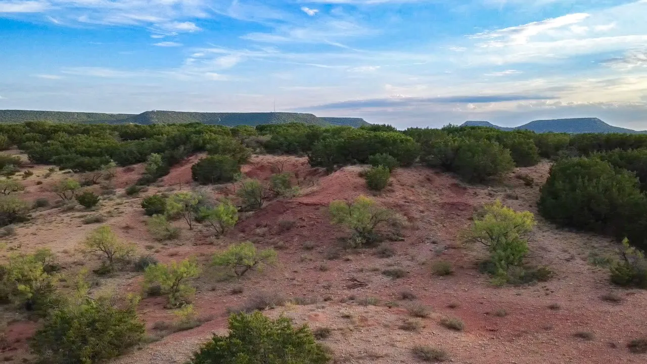 Ranch For Sale in Runnels County , TBD County Road 175, Winters, Texas 79567, 0, 0, Garage spaces, 0 Sqft, built in 0, mls#21398172, Real Estate Agent in Winters, Homes For Sale in Runnels county, Homes For Sale in Winters, Realtor in Winters Texas, Real Estate Brokerage Independent Realty Texas, Luminita Cordes Realtor
