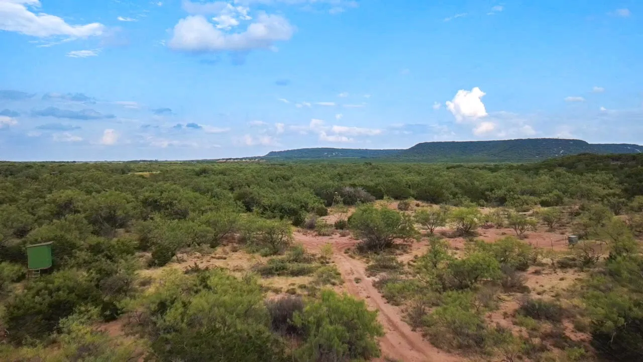 Ranch For Sale in Runnels County , TBD County Road 175, Winters, Texas 79567, 0, 0, Garage spaces, 0 Sqft, built in 0, mls#21398172, Real Estate Agent in Winters, Homes For Sale in Runnels county, Homes For Sale in Winters, Realtor in Winters Texas, Real Estate Brokerage Independent Realty Texas, Luminita Cordes Realtor