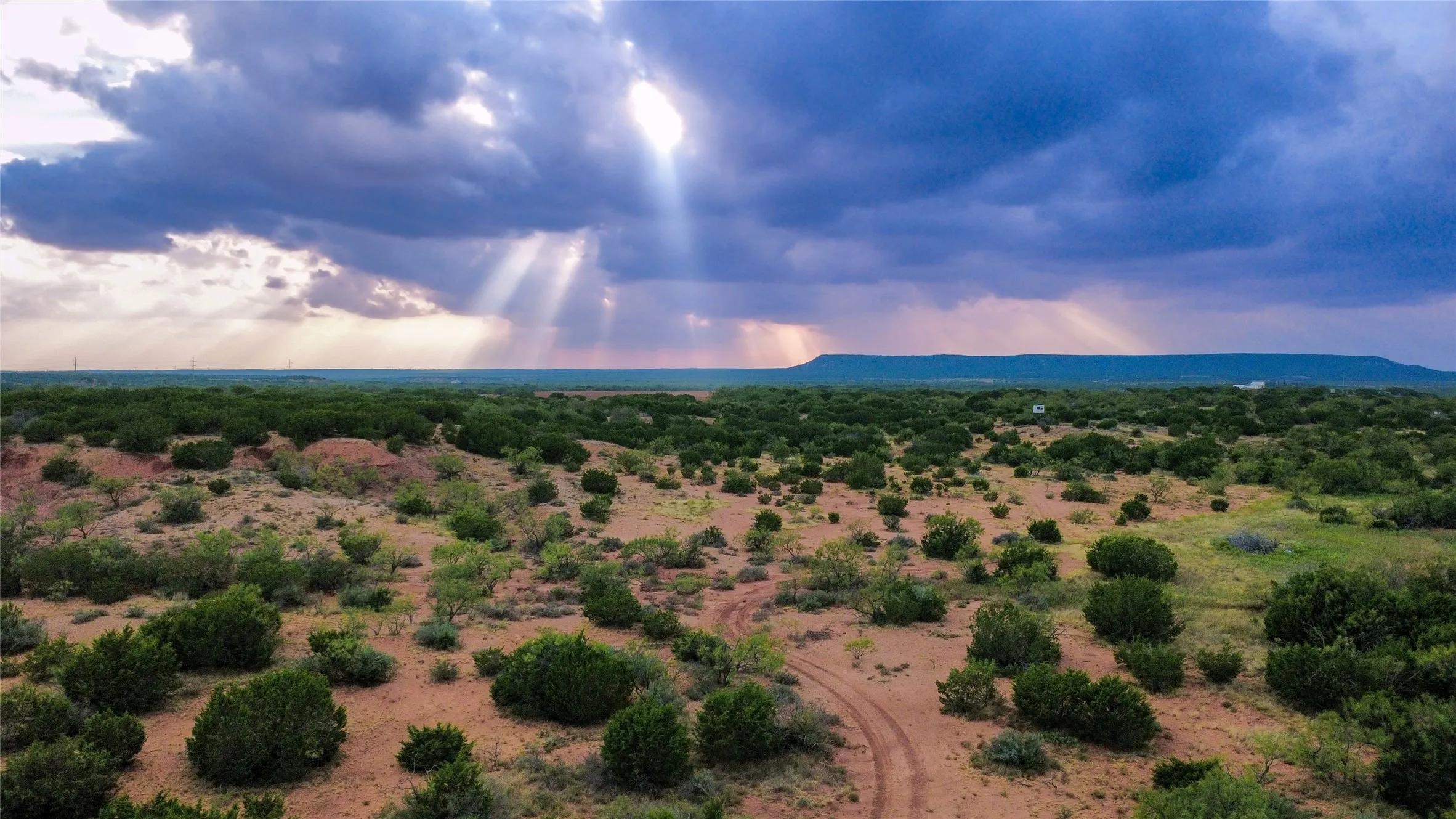 Ranch For Sale in Runnels County , TBD County Road 175, Winters, Texas 79567, 0, 0, Garage spaces, 0 Sqft, built in 0, mls#21398172, Real Estate Agent in Winters, Homes For Sale in Runnels county, Homes For Sale in Winters, Realtor in Winters Texas, Real Estate Brokerage Independent Realty Texas, Luminita Cordes Realtor