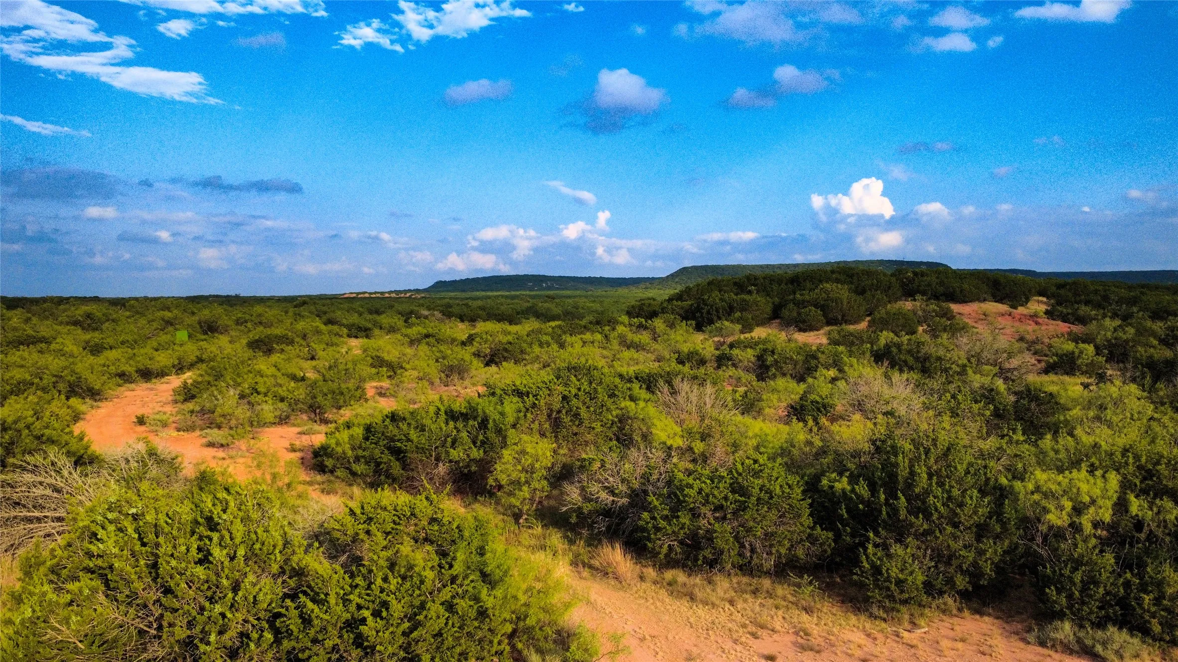 Ranch For Sale in Runnels County , TBD County Road 175, Winters, Texas 79567, 0, 0, Garage spaces, 0 Sqft, built in 0, mls#21398172, Real Estate Agent in Winters, Homes For Sale in Runnels county, Homes For Sale in Winters, Realtor in Winters Texas, Real Estate Brokerage Independent Realty Texas, Luminita Cordes Realtor