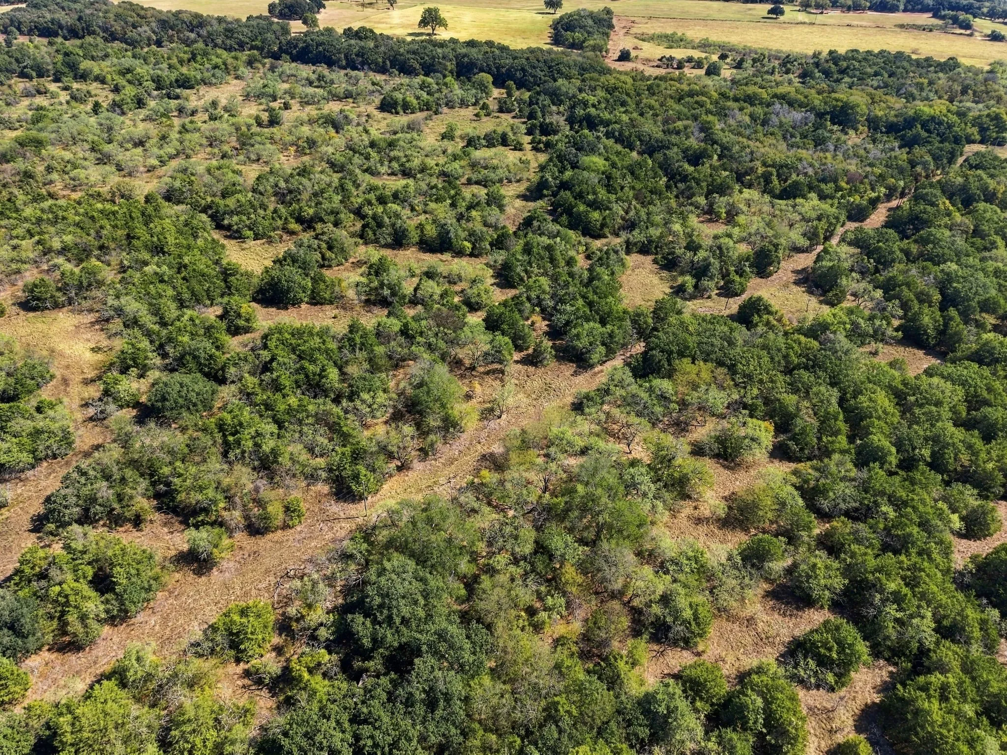 Unimproved Land For Sale in Hill County , TR 10 HCR 1335, Whitney, Texas 76692, 0, 0, Garage spaces, 0 Sqft, built in 0, mls#21400563, Real Estate Agent in Whitney, Homes For Sale in Hill county, Homes For Sale in Whitney, Realtor in Whitney Texas, Real Estate Brokerage Independent Realty Texas, Luminita Cordes Realtor
