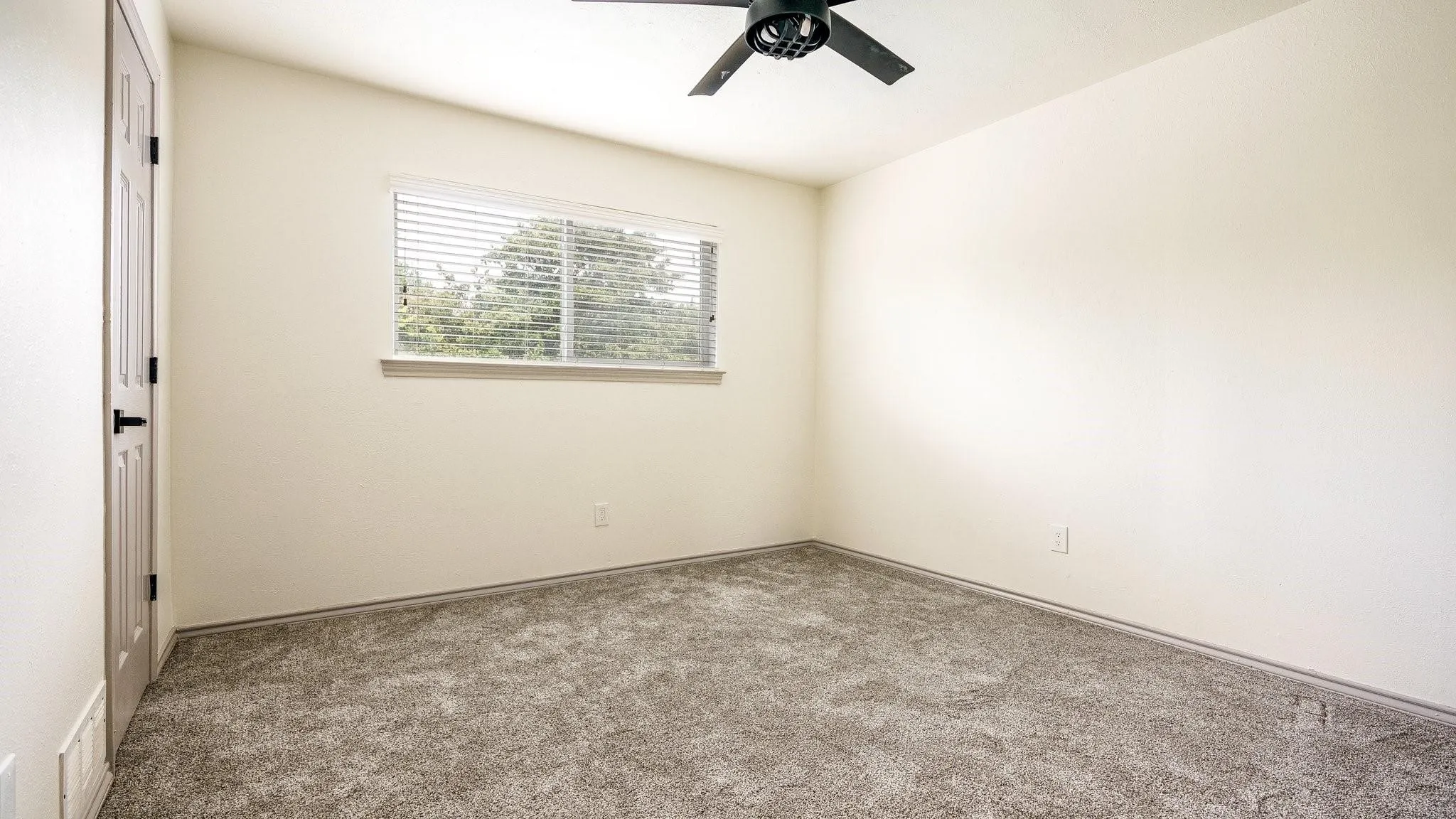Plush carpet flooring, a window with horizontal blinds, and a ceiling fan with integrated lighting