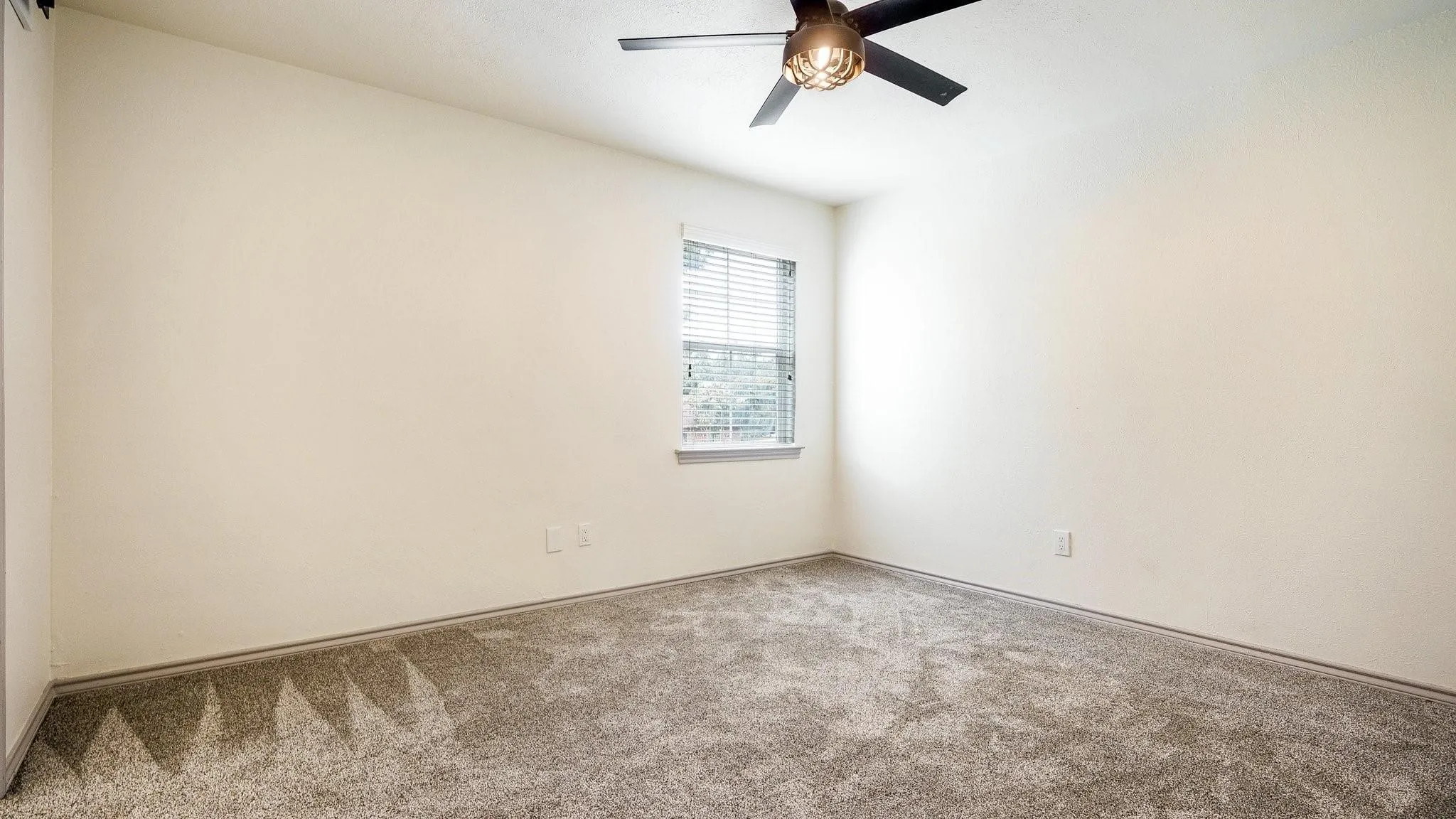 Neutral wall finish, ceiling fan with integrated lighting, window with blinds, and neutral carpet flooring