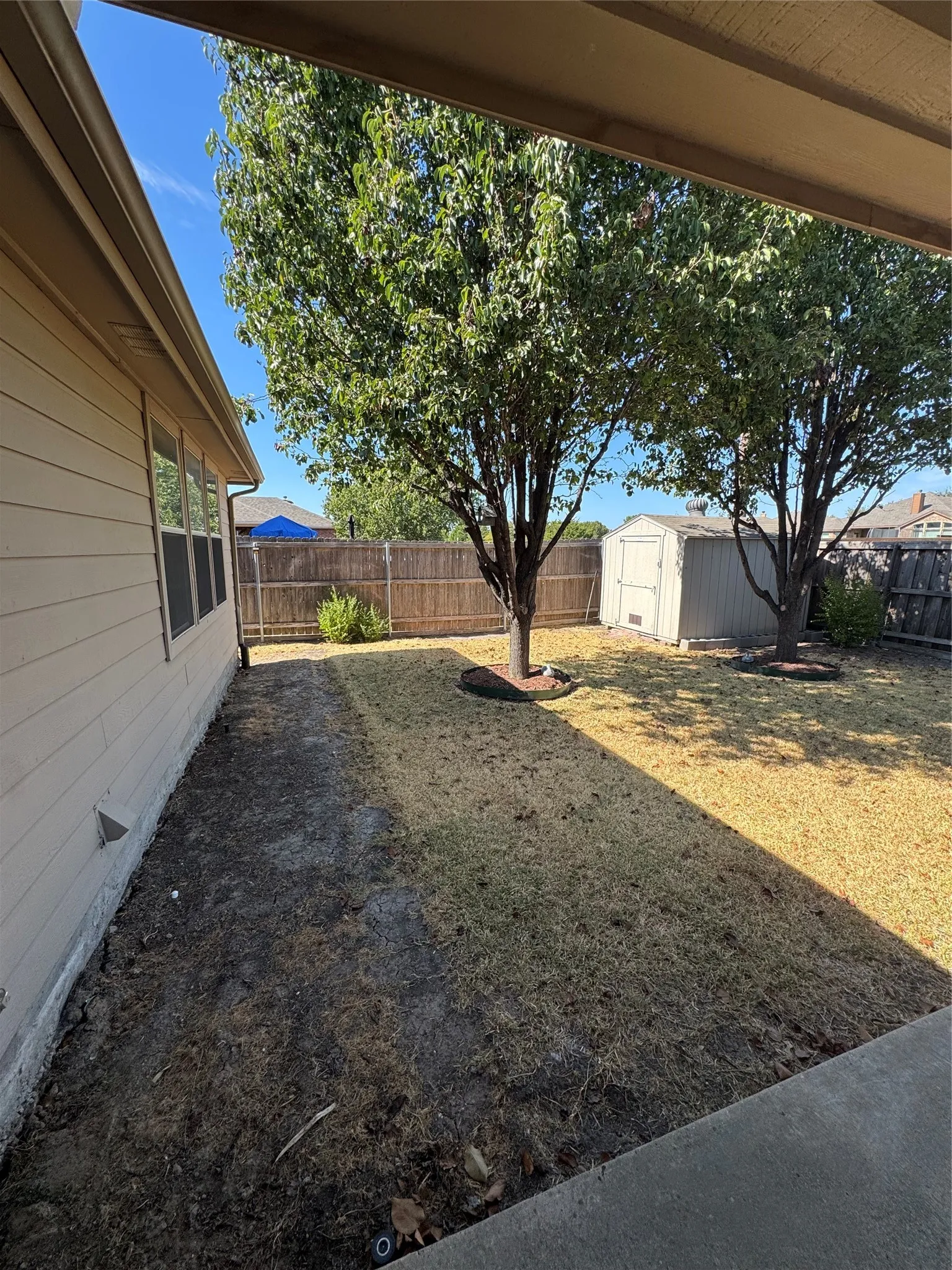 Expansive backyard featuring mature trees, a wooden privacy fence, and a storage shed