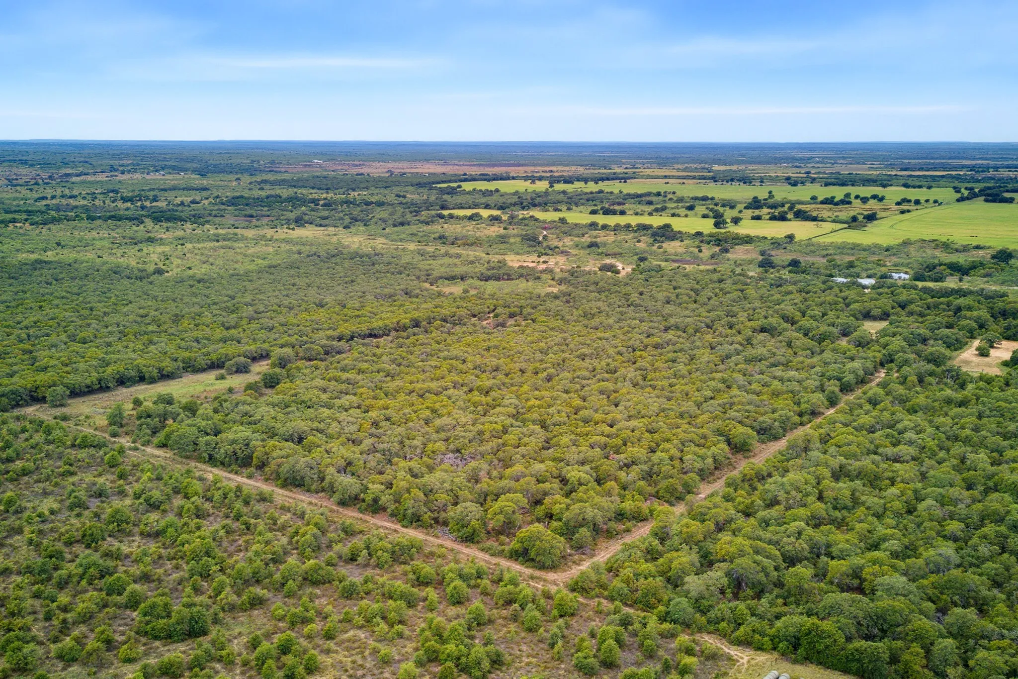 Farm For Sale in Callahan County , 17978 County Road 445, Cross Plains, Texas 76443, 3 Bedroom, 2 Bathroom, 2 Garage spaces, 1,800 Sqft, built in 2008, mls#21401490, Real Estate Agent in Cross Plains, Homes For Sale in Callahan county, Homes For Sale in Cross Plains, Realtor in Cross Plains Texas, Real Estate Brokerage Independent Realty Texas, Luminita Cordes Realtor