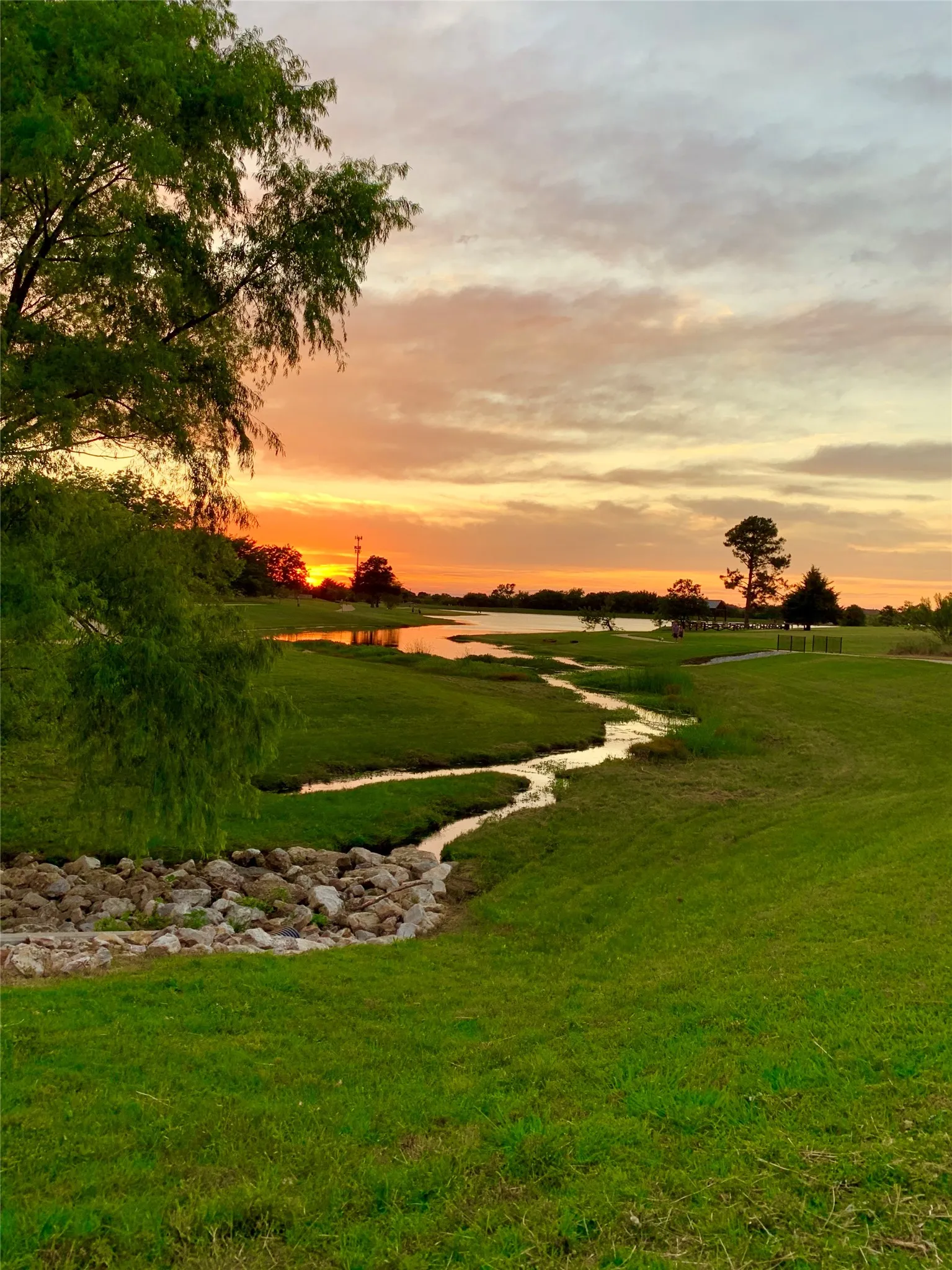 Single Family Residence For Sale in Denton County , 9205 Wayne Street, Cross Roads, Texas 76227, 4 Bedroom, 2 Bathroom, 2 Garage spaces, 1,578 Sqft, built in 2014, mls#21400512, Real Estate Agent in Cross Roads, Homes For Sale in Denton county, Homes For Sale in Cross Roads, Realtor in Cross Roads Texas, Real Estate Brokerage Independent Realty Texas, Luminita Cordes Realtor