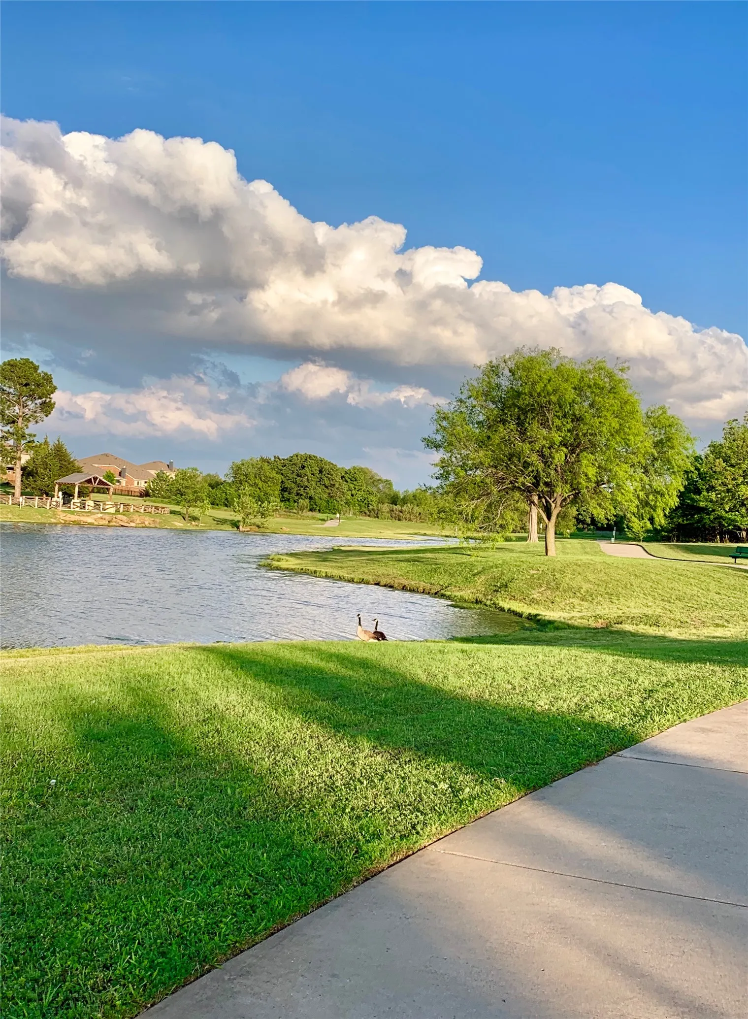 Single Family Residence For Sale in Denton County , 9205 Wayne Street, Cross Roads, Texas 76227, 4 Bedroom, 2 Bathroom, 2 Garage spaces, 1,578 Sqft, built in 2014, mls#21400512, Real Estate Agent in Cross Roads, Homes For Sale in Denton county, Homes For Sale in Cross Roads, Realtor in Cross Roads Texas, Real Estate Brokerage Independent Realty Texas, Luminita Cordes Realtor