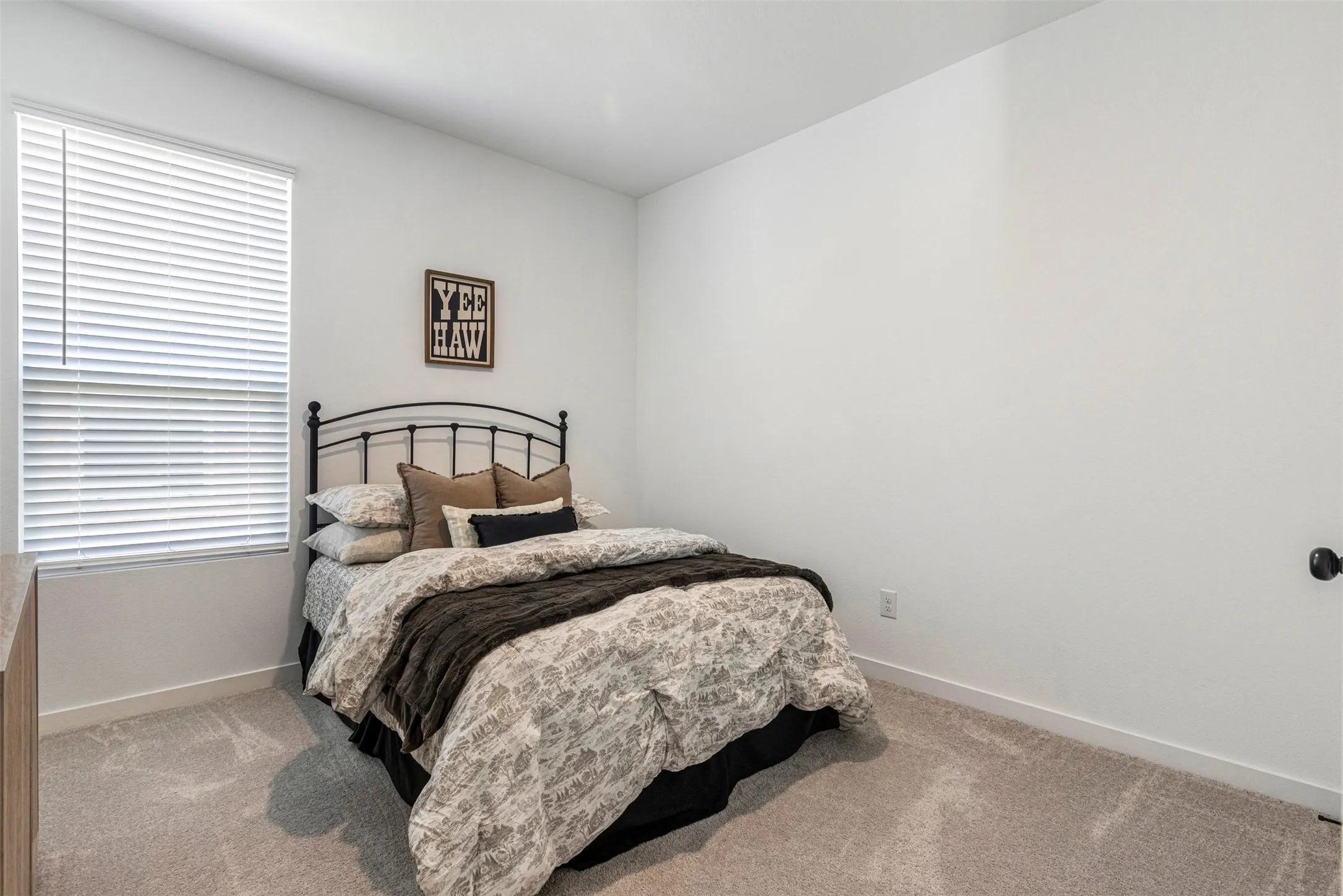 White walls, carpeted flooring, and a single window with blinds