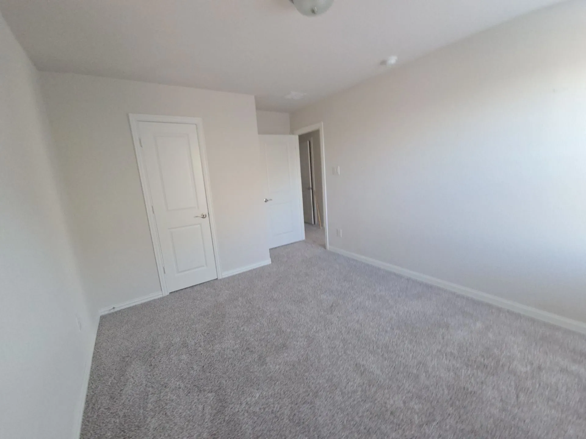 Neutral wall color, light gray carpeting, flush-mount ceiling light fixture, white interior doors