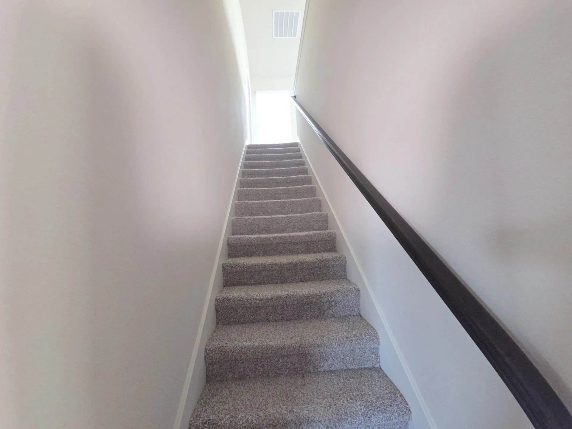 Carpeted staircase with a dark wood-finish handrail and light-toned walls