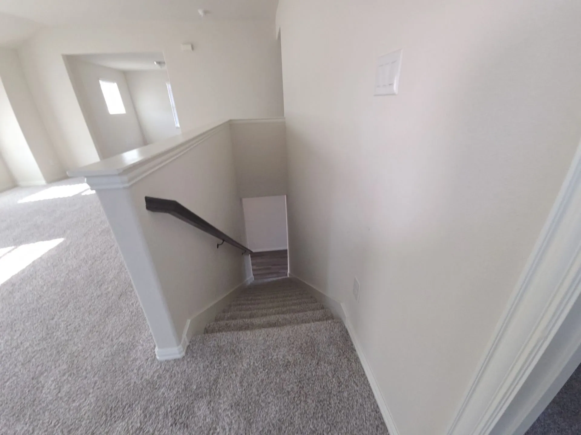 Carpeted stairway with a dark handrail and white balustrade