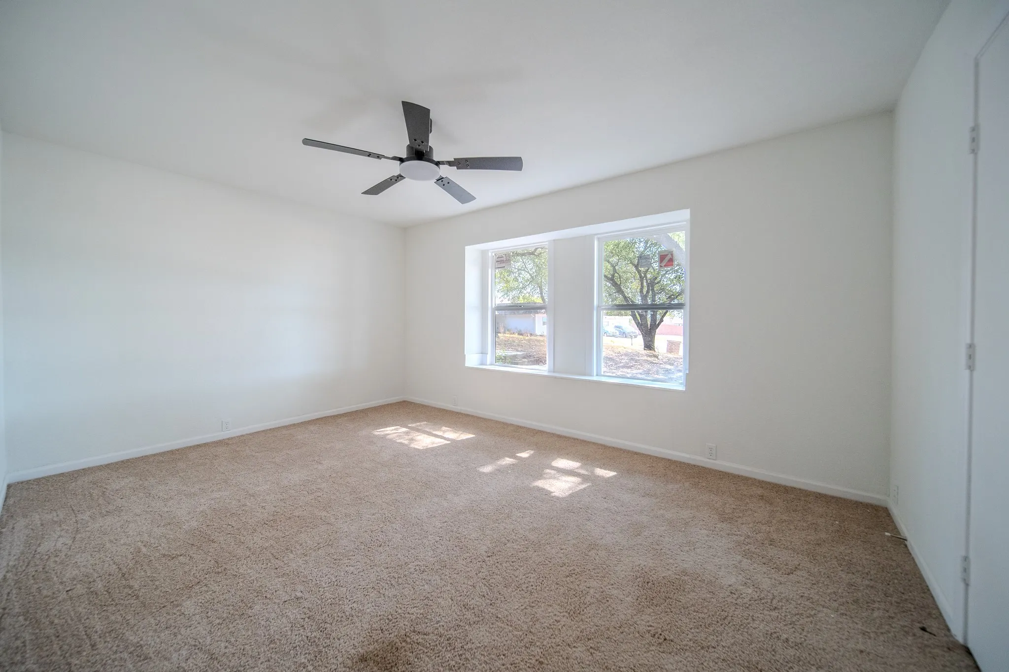 Spacious room featuring neutral carpeting, a contemporary ceiling fan, and large windows