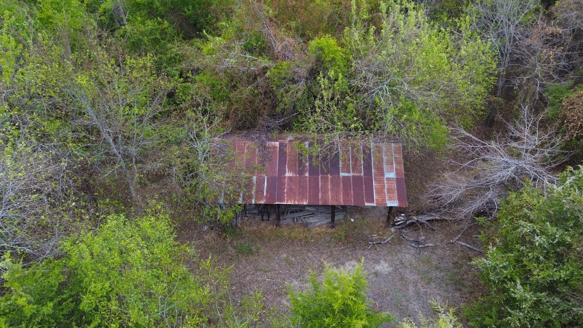 Unimproved Land For Sale in Delta County , TBD County Road 3510, Pecan Gap, Texas 75469, 0, 0, Garage spaces, 0 Sqft, built in 0, mls#21401067, Real Estate Agent in Pecan Gap, Homes For Sale in Delta county, Homes For Sale in Pecan Gap, Realtor in Pecan Gap Texas, Real Estate Brokerage Independent Realty Texas, Luminita Cordes Realtor