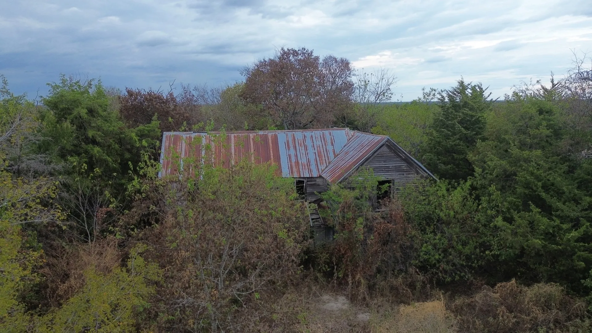 Unimproved Land For Sale in Delta County , TBD County Road 3510, Pecan Gap, Texas 75469, 0, 0, Garage spaces, 0 Sqft, built in 0, mls#21401067, Real Estate Agent in Pecan Gap, Homes For Sale in Delta county, Homes For Sale in Pecan Gap, Realtor in Pecan Gap Texas, Real Estate Brokerage Independent Realty Texas, Luminita Cordes Realtor