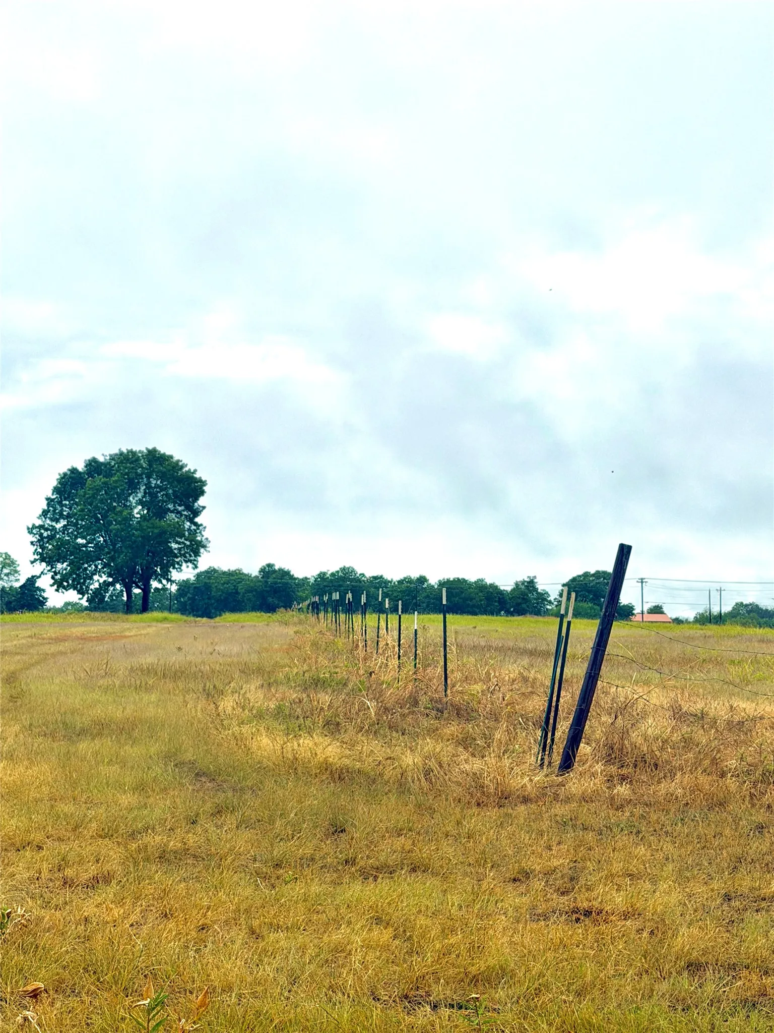 Unimproved Land For Sale in Rains County , TBD Tract D FM 513 TX, Point, Texas 75453, 0, 0, Garage spaces, 0 Sqft, built in 0, mls#21399869, Real Estate Agent in Point, Homes For Sale in Rains county, Homes For Sale in Point, Realtor in Point Texas, Real Estate Brokerage Independent Realty Texas, Luminita Cordes Realtor