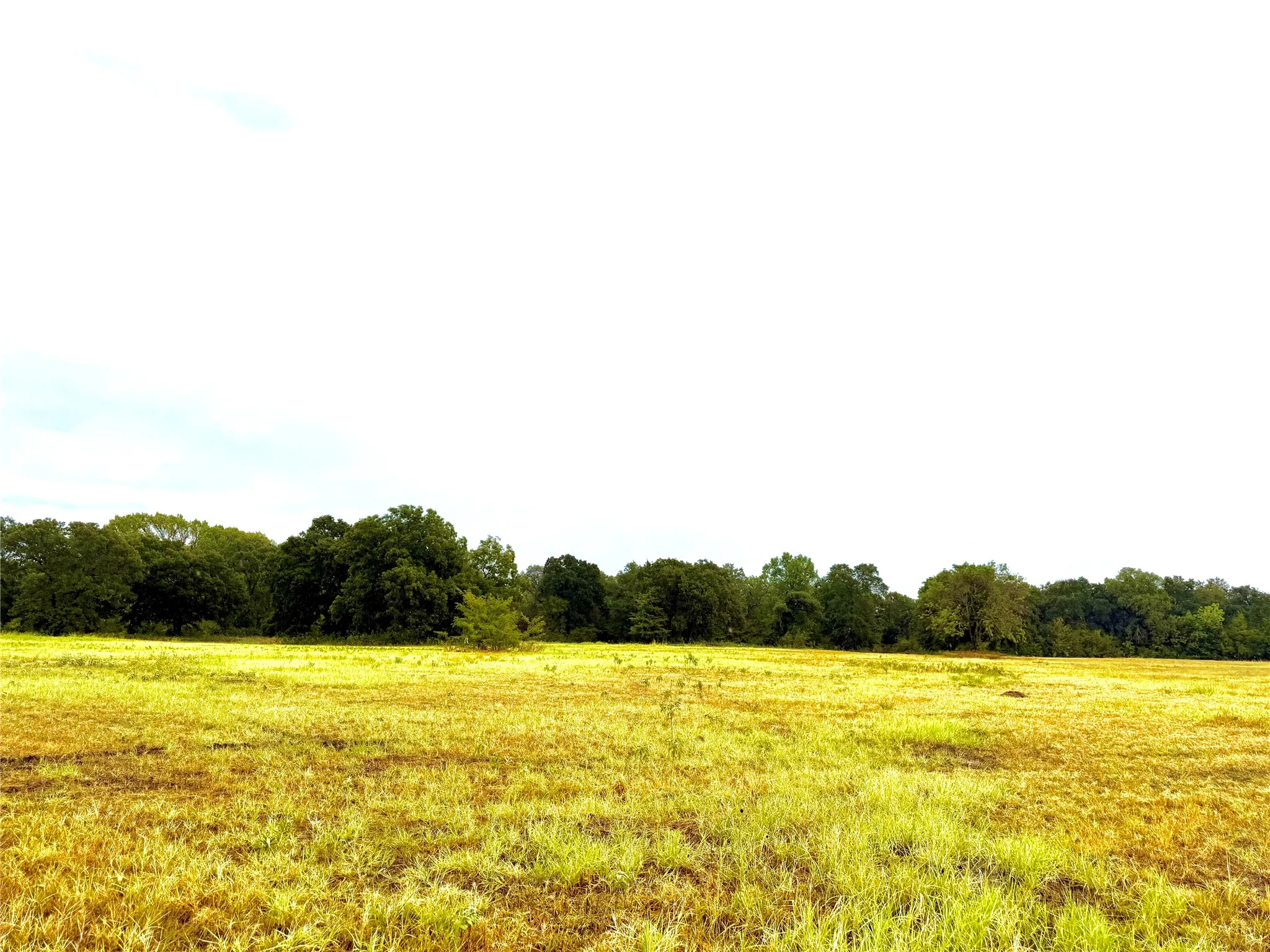 Unimproved Land For Sale in Rains County , TBD Tract D FM 513 TX, Point, Texas 75453, 0, 0, Garage spaces, 0 Sqft, built in 0, mls#21399869, Real Estate Agent in Point, Homes For Sale in Rains county, Homes For Sale in Point, Realtor in Point Texas, Real Estate Brokerage Independent Realty Texas, Luminita Cordes Realtor