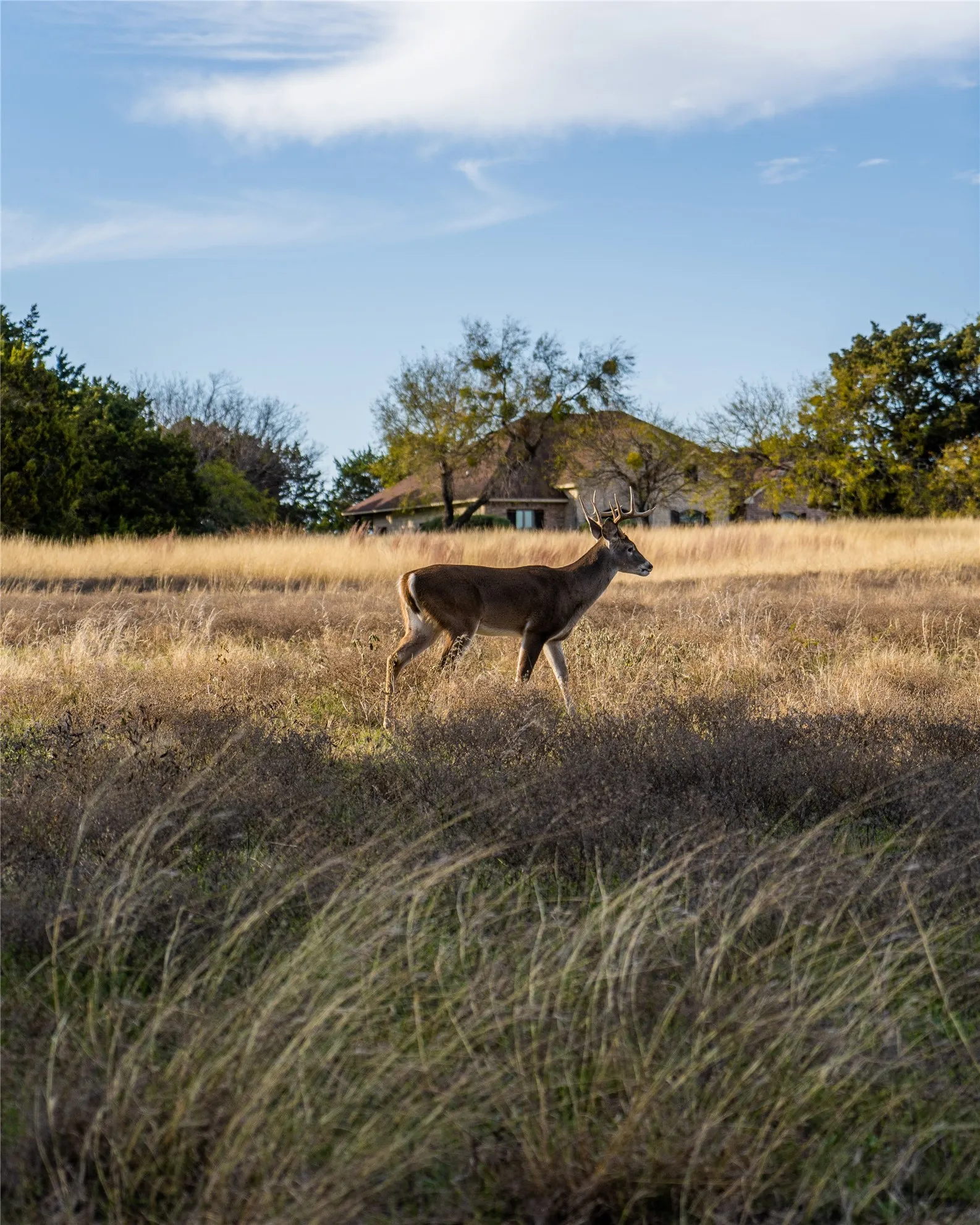 Neighborhood photos