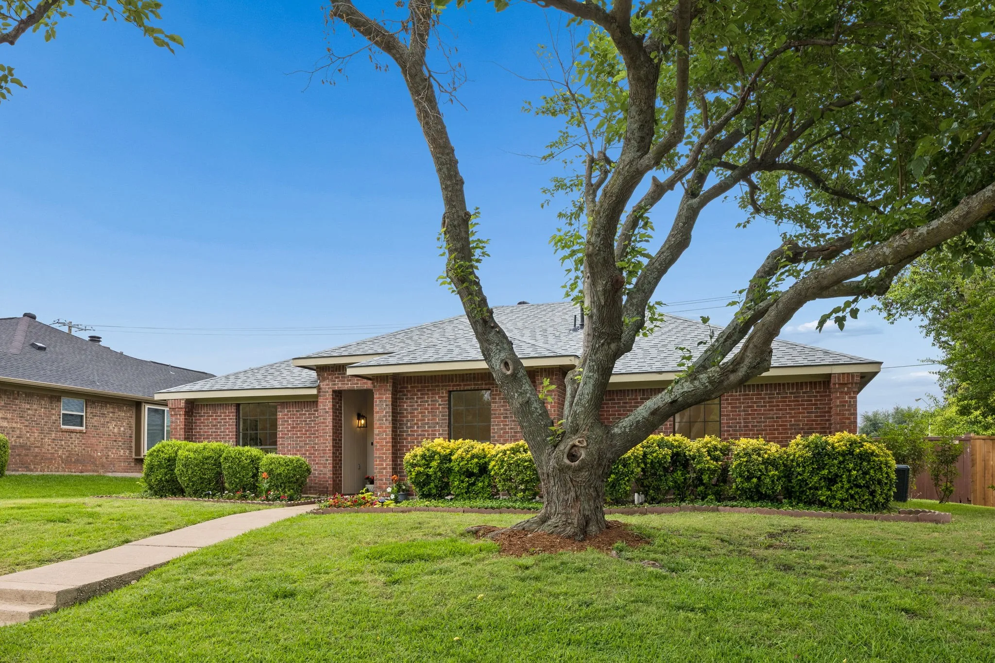 Brick exterior with a gray shingle roof, mature tree, front walkway, and landscaped shrubbery