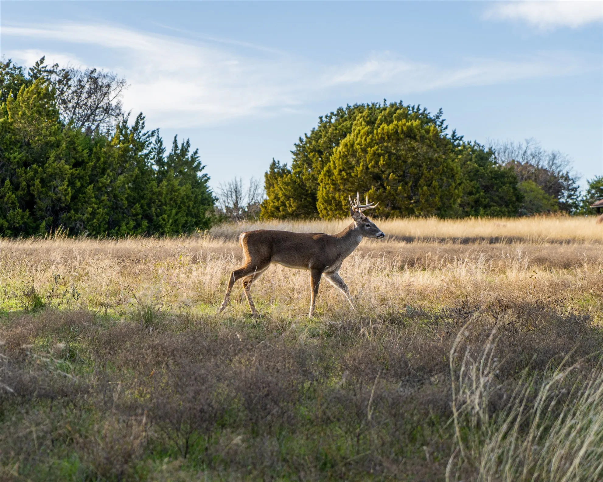 Neighborhood photos