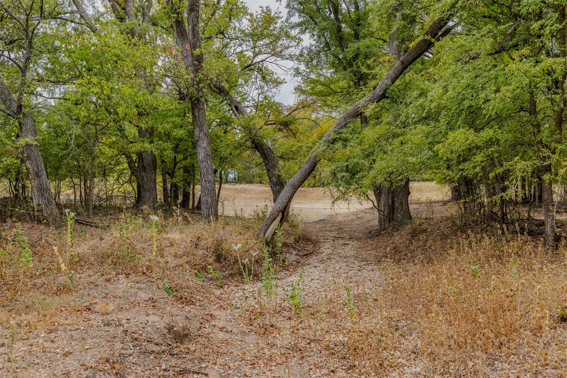 Ranch For Sale in Young County , 2531 Fm 2075, Graham, Texas 76450, 0, 0, Garage spaces, 0 Sqft, built in 2020, mls#21400592, Real Estate Agent in Graham, Homes For Sale in Young county, Homes For Sale in Graham, Realtor in Graham Texas, Real Estate Brokerage Independent Realty Texas, Luminita Cordes Realtor