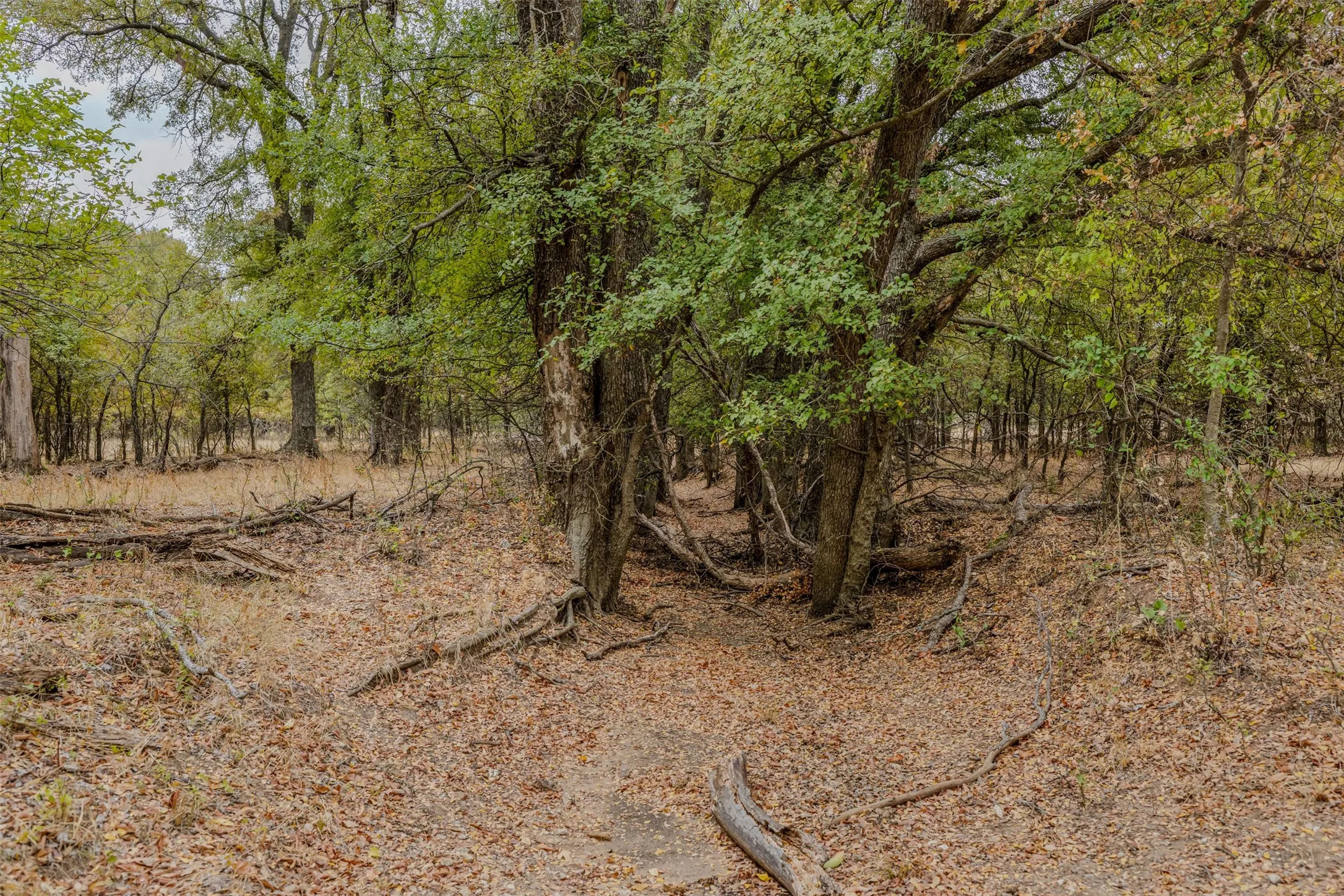 Ranch For Sale in Young County , 2531 Fm 2075, Graham, Texas 76450, 0, 0, Garage spaces, 0 Sqft, built in 2020, mls#21400592, Real Estate Agent in Graham, Homes For Sale in Young county, Homes For Sale in Graham, Realtor in Graham Texas, Real Estate Brokerage Independent Realty Texas, Luminita Cordes Realtor