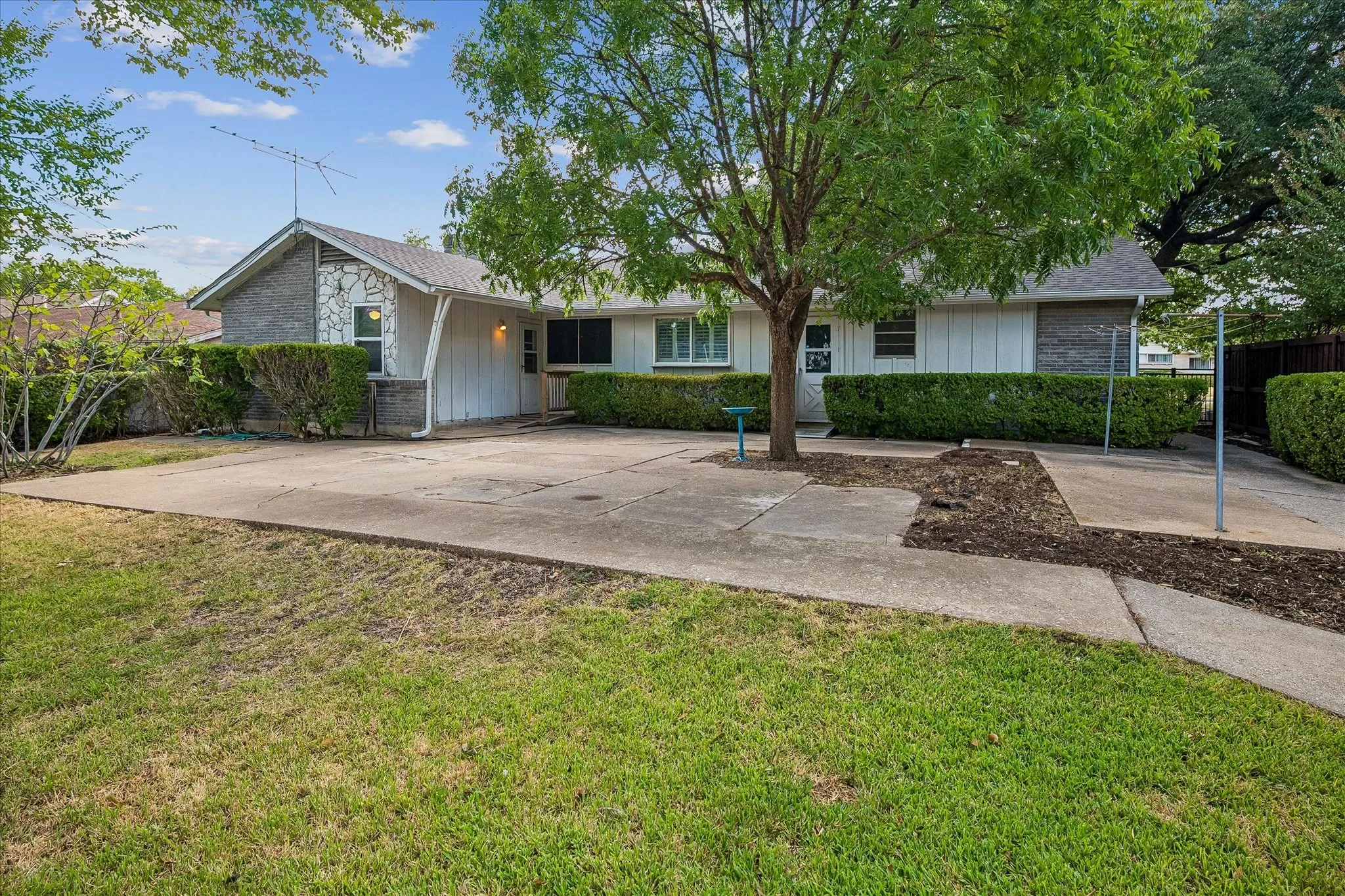 Expansive concrete patio with mature trees and a stone facade accent, plus a fig tree