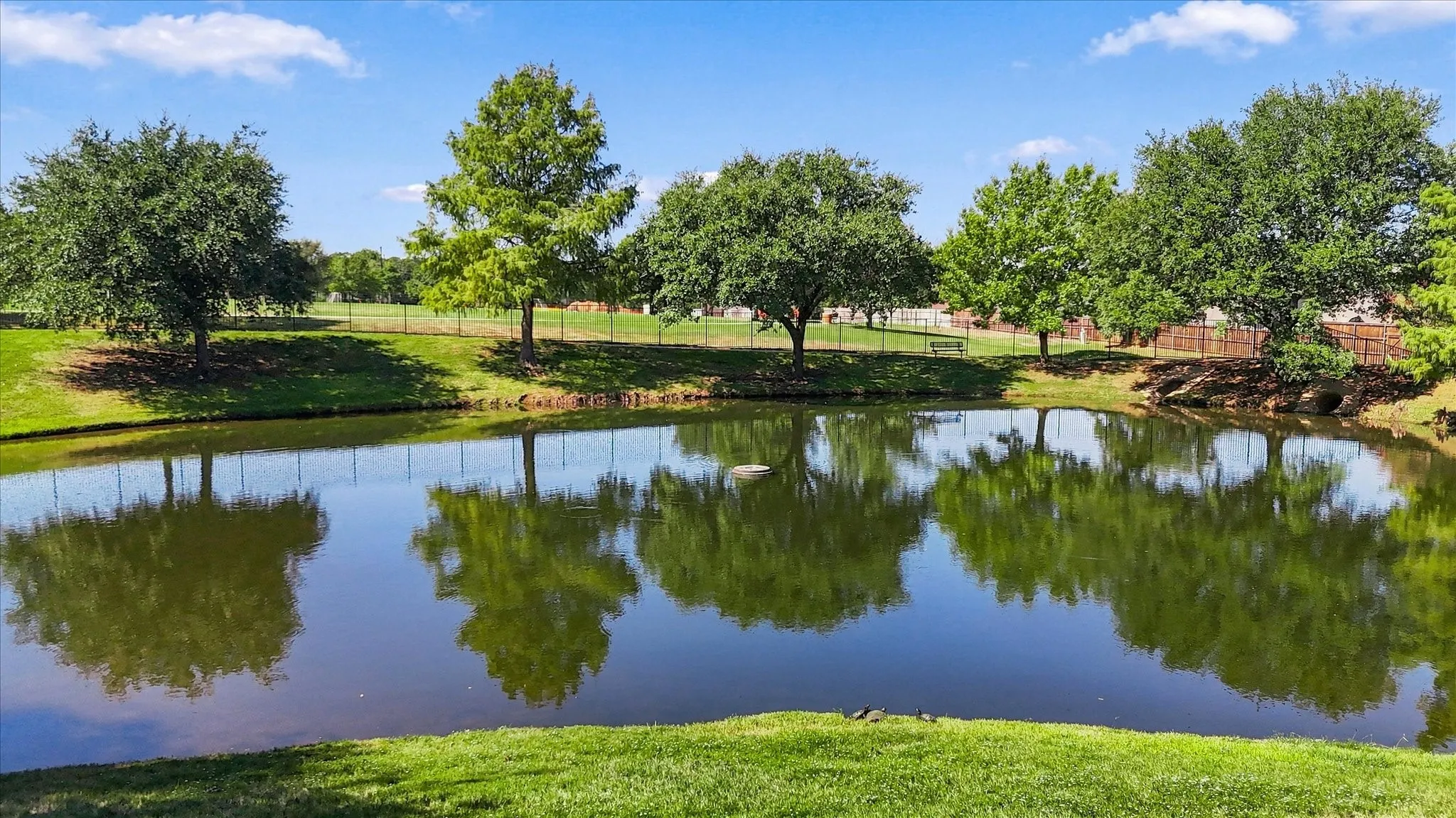 Water feature with surrounding grassy areas and mature trees