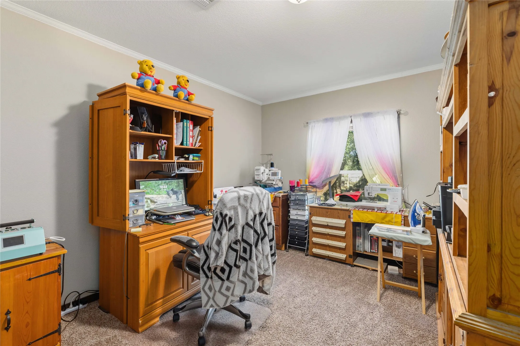 Carpeted room featuring a window with sheer curtains, neutral wall tones, and crown molding