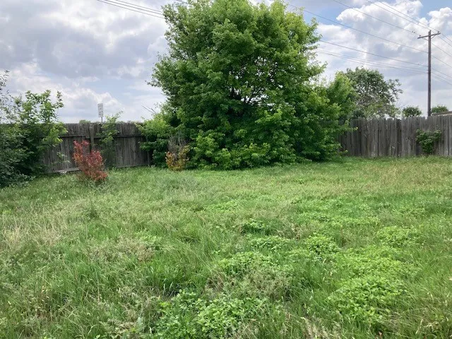 back yard