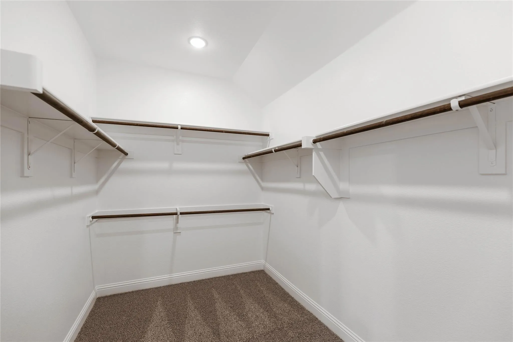 Walk-in closet with carpet flooring, white shelving, and hanging rods