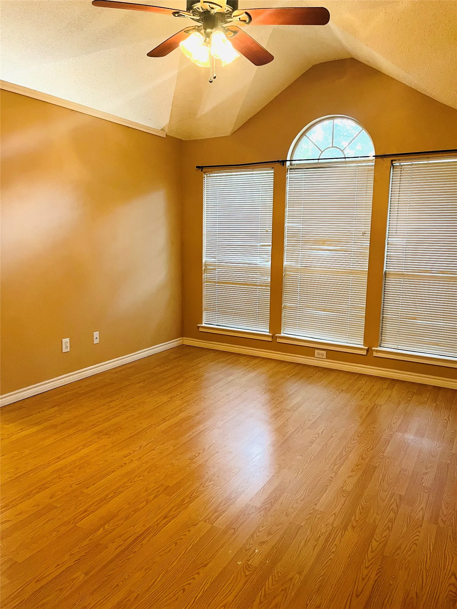 Vaulted ceiling with a ceiling fan, three windows with blinds, an arched transom window, and wood-finish flooring