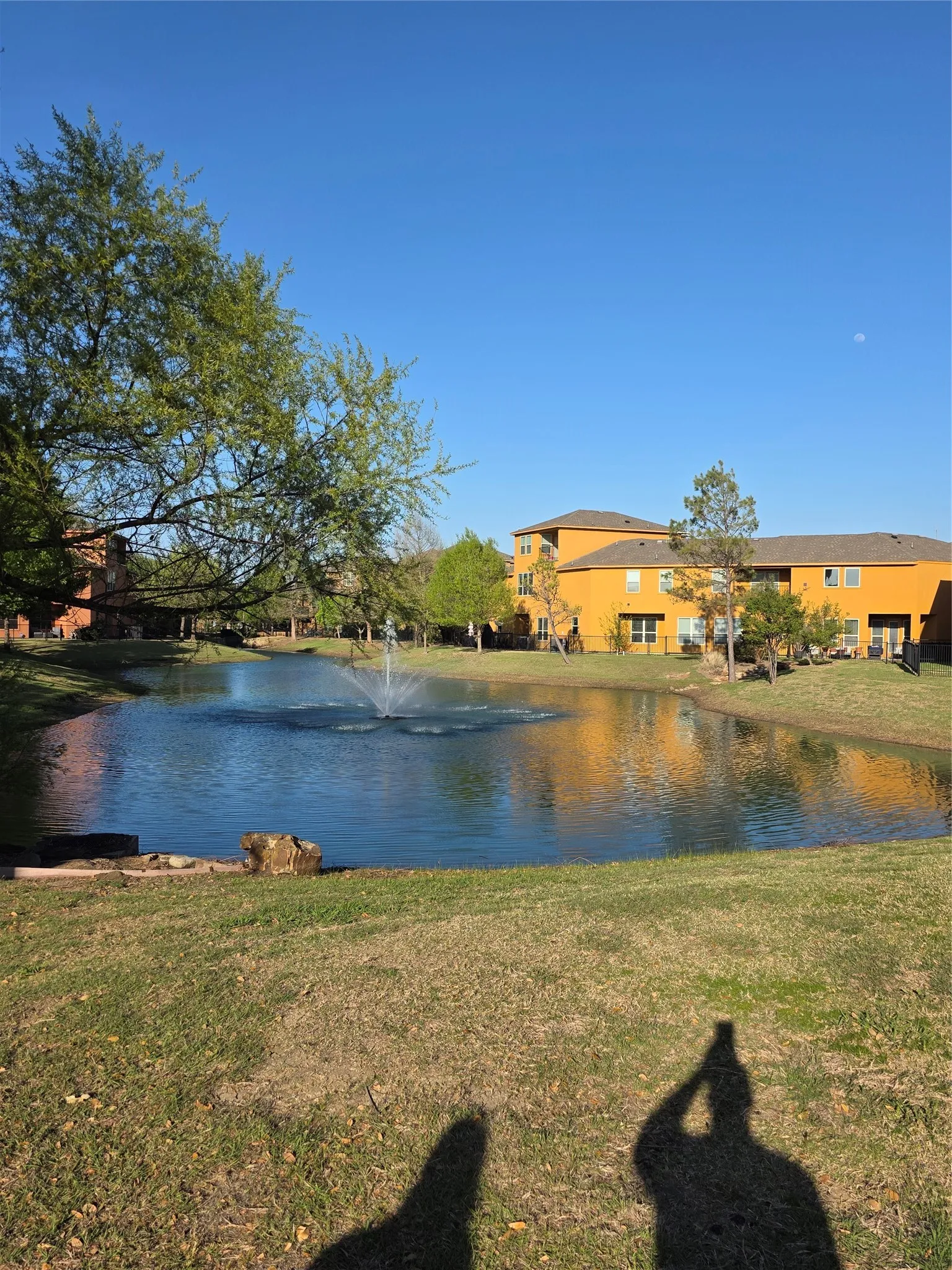 Single Family Residence For Sale in Dallas County , 7305 Venice Drive 1, Grand Prairie, Texas 75054, 2 Bedroom, 3 Bathroom, 2 Garage spaces, 1,797 Sqft, built in 2016, mls#21401584, Real Estate Agent in Grand Prairie, Homes For Sale in Dallas county, Homes For Sale in Grand Prairie, Realtor in Grand Prairie Texas, Real Estate Brokerage Independent Realty Texas, Luminita Cordes Realtor