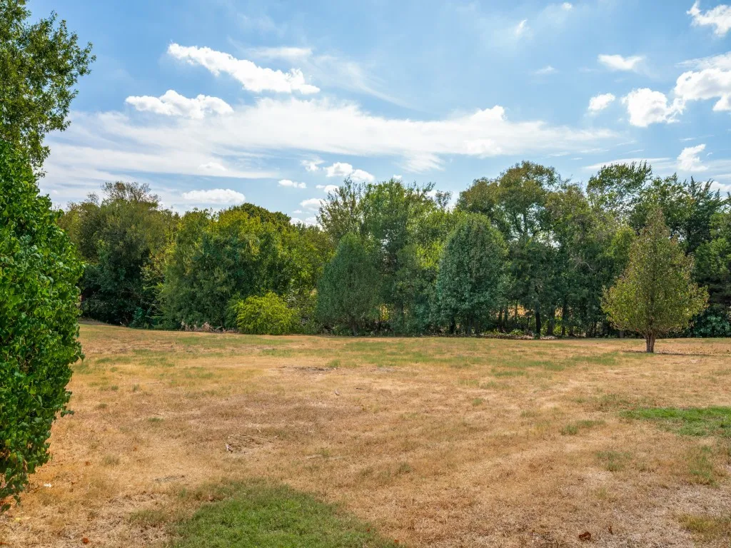 Backyard backs up to green belt