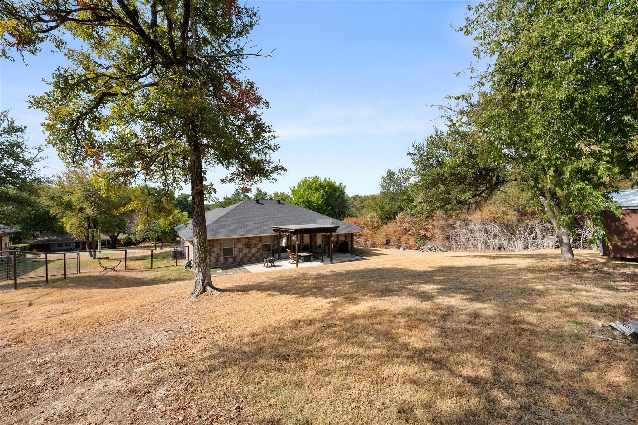 So much backyard space for room to roam