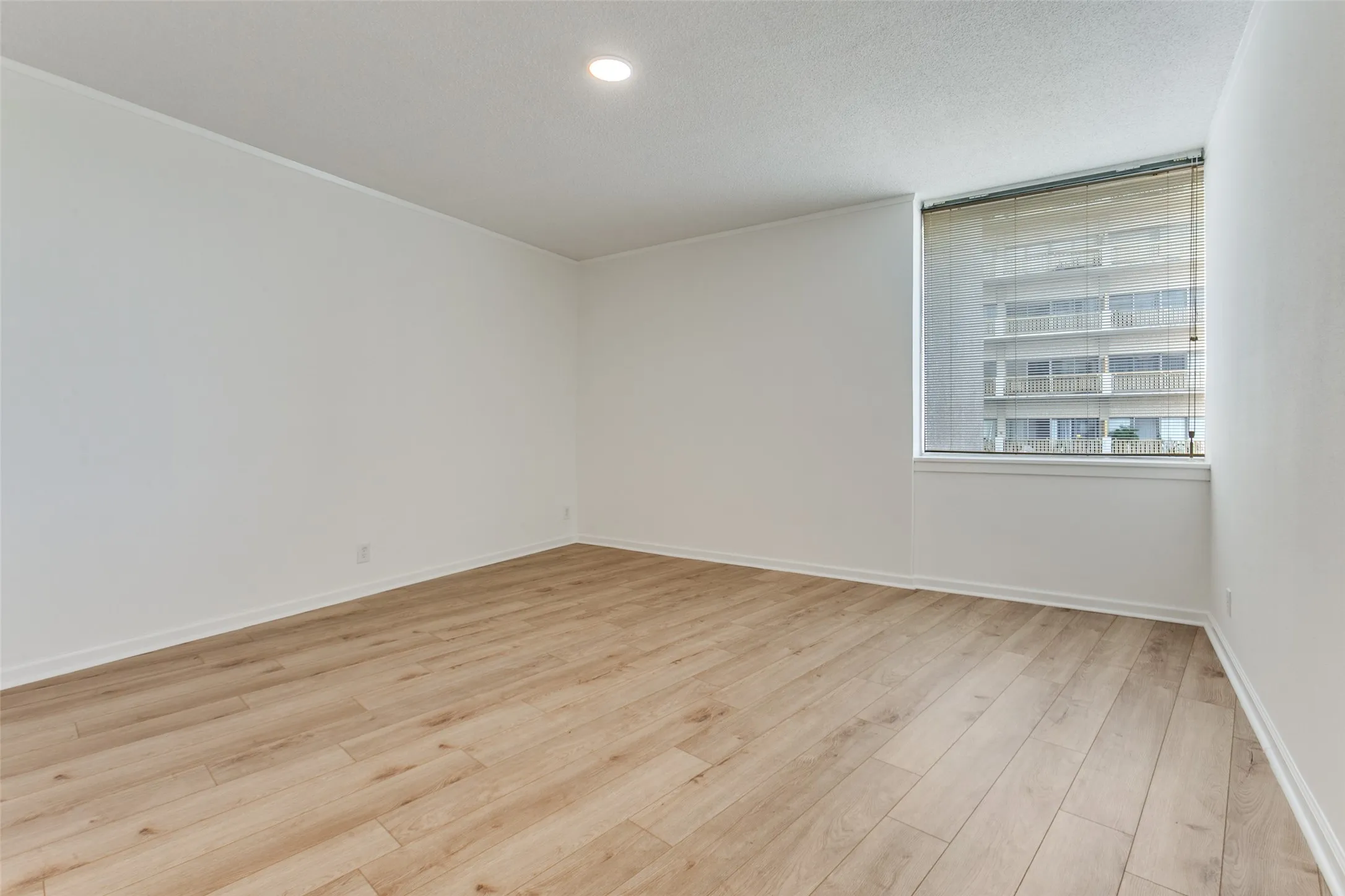 Large primary bedroom