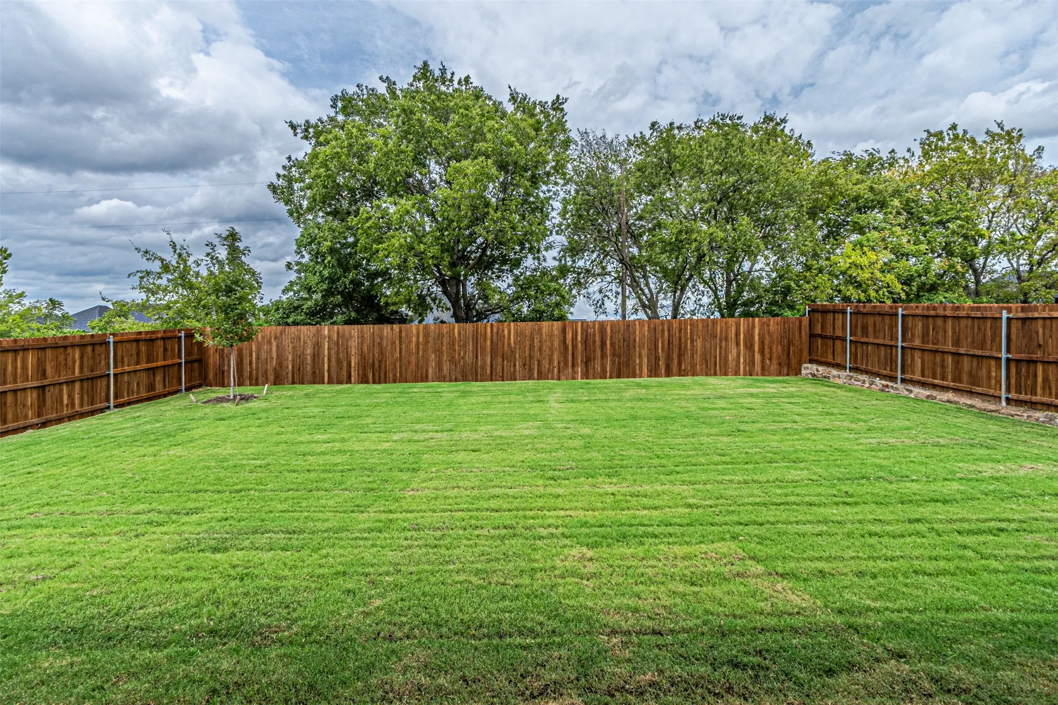 Single Family Residence For Rent in Collin County , 1310 Winters Way, Princeton, Texas 75071, 4 Bedroom, 2 Bathroom, 2 Garage spaces, 1,874 Sqft, built in 2026, mls#21401869, Real Estate Agent in Princeton, Homes For Rent in Collin county, Homes For Rent in Princeton, Realtor in Princeton Texas, Real Estate Brokerage Independent Realty Texas, Luminita Cordes Realtor
