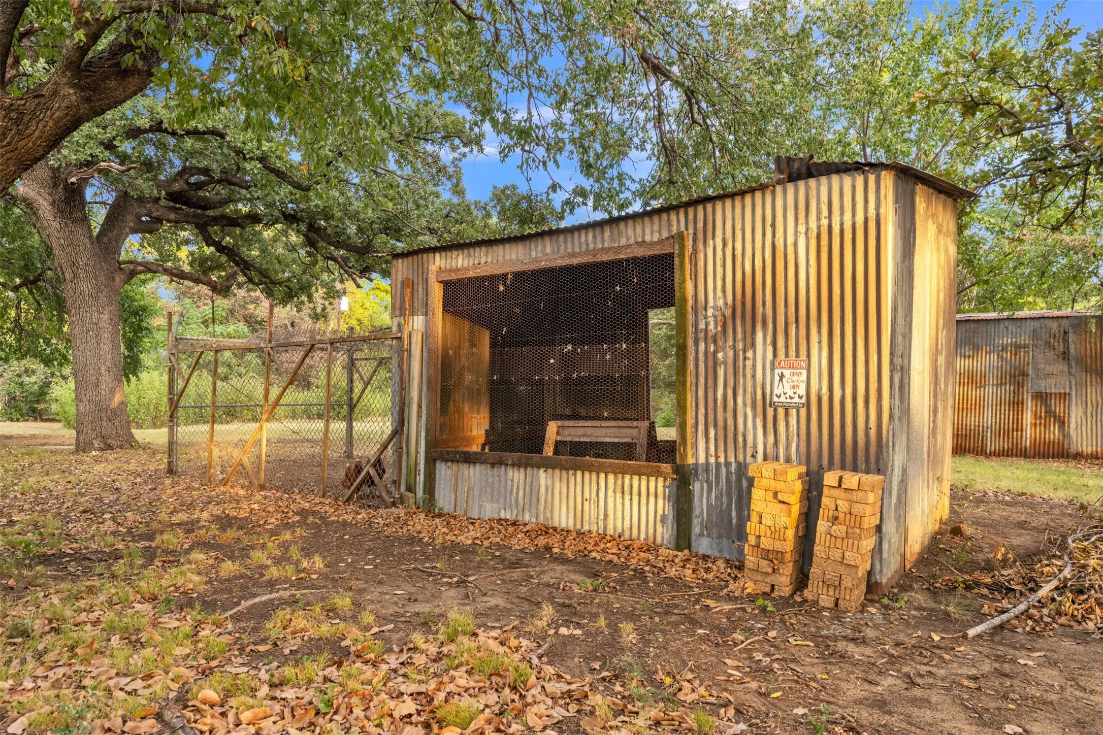 Chicken Coop