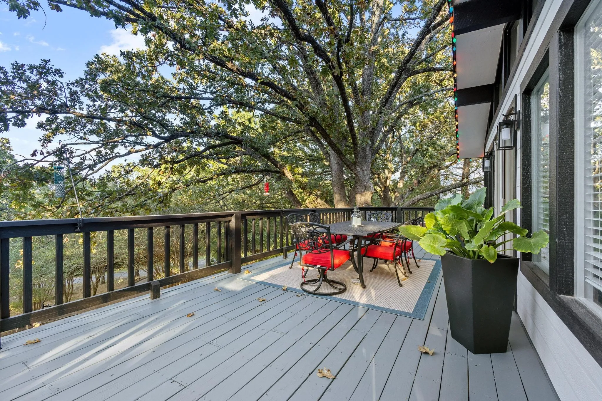 Mature Trees Provide Shade to the Upper Deck