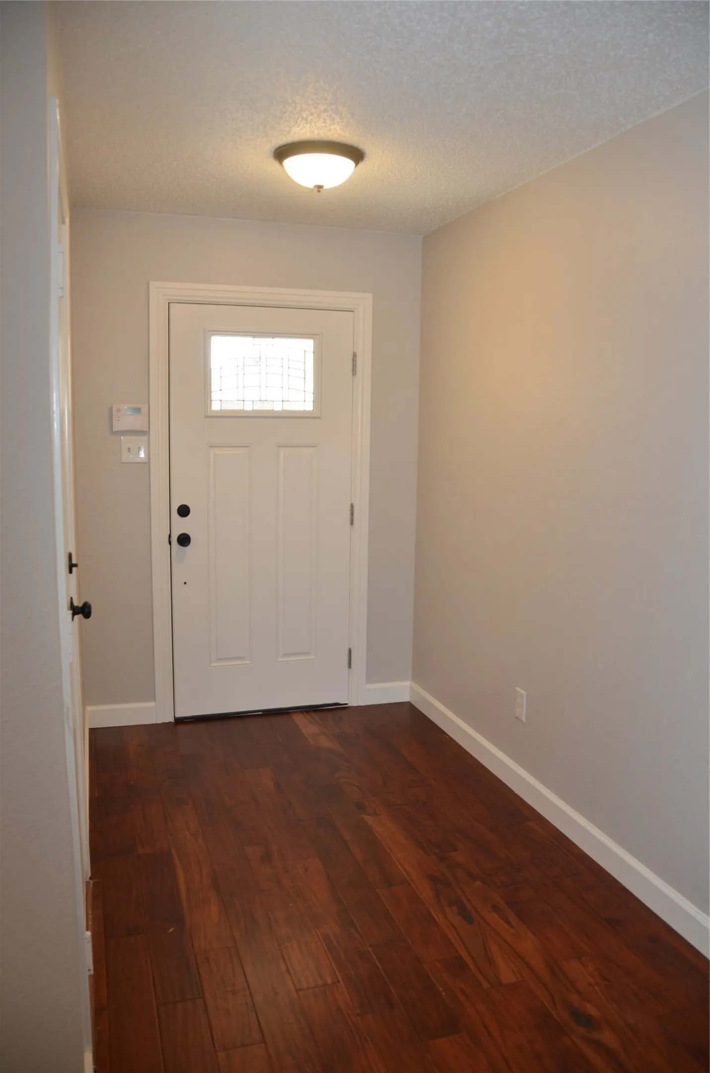 Entryway featuring wood-finish flooring, a white paneled door with a decorative glass insert, and a ceiling-mounted light fixture