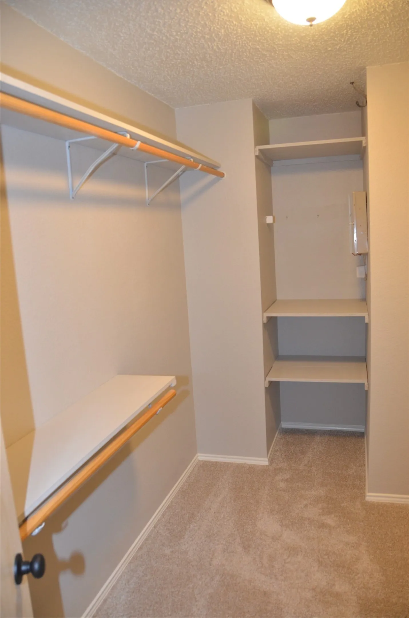 Walk-in primary closet featuring carpet flooring, built-in shelving, and hanging rods