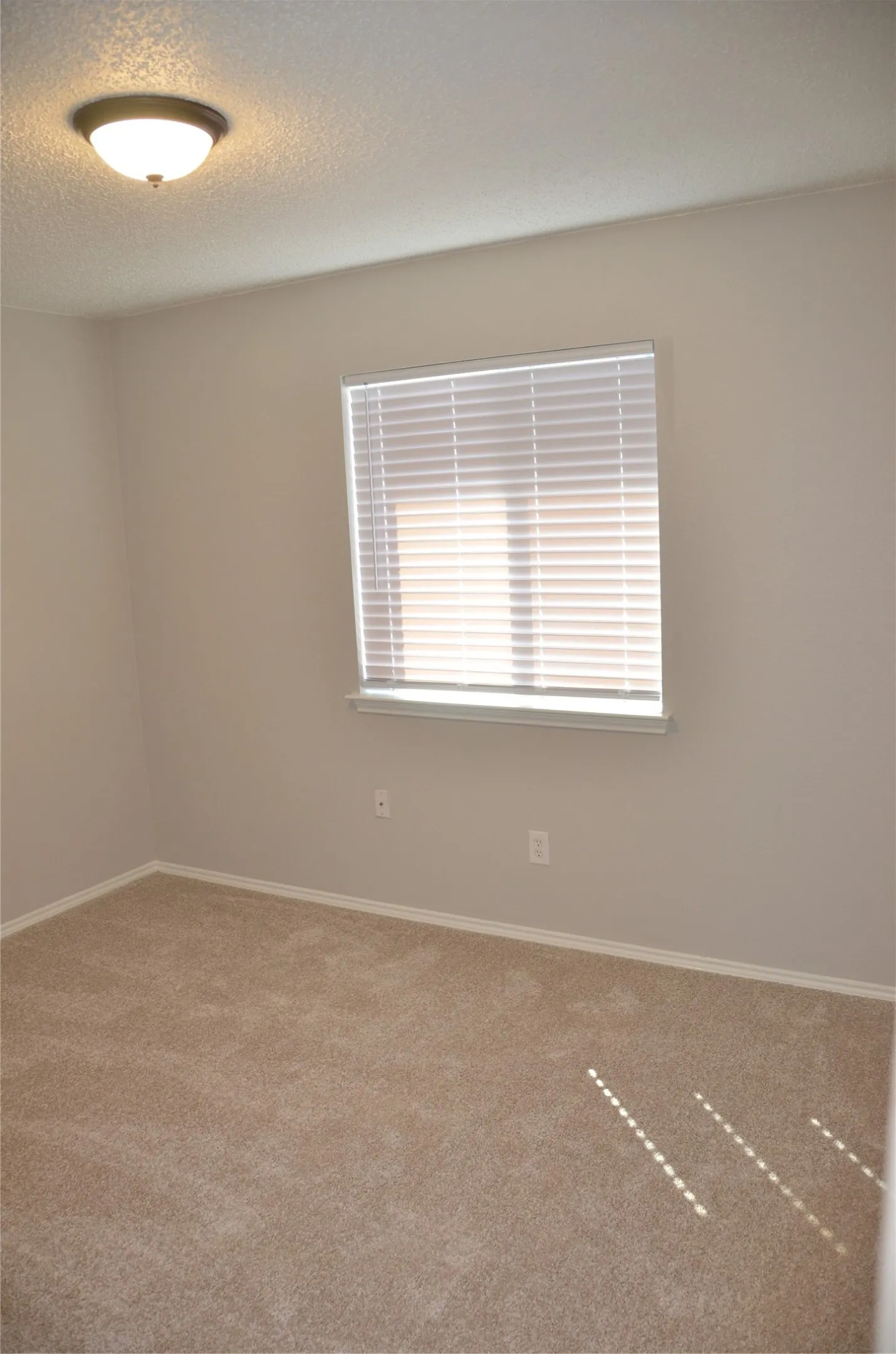 Wall-to-wall carpeting, window with blinds, ceiling light fixture, and painted walls