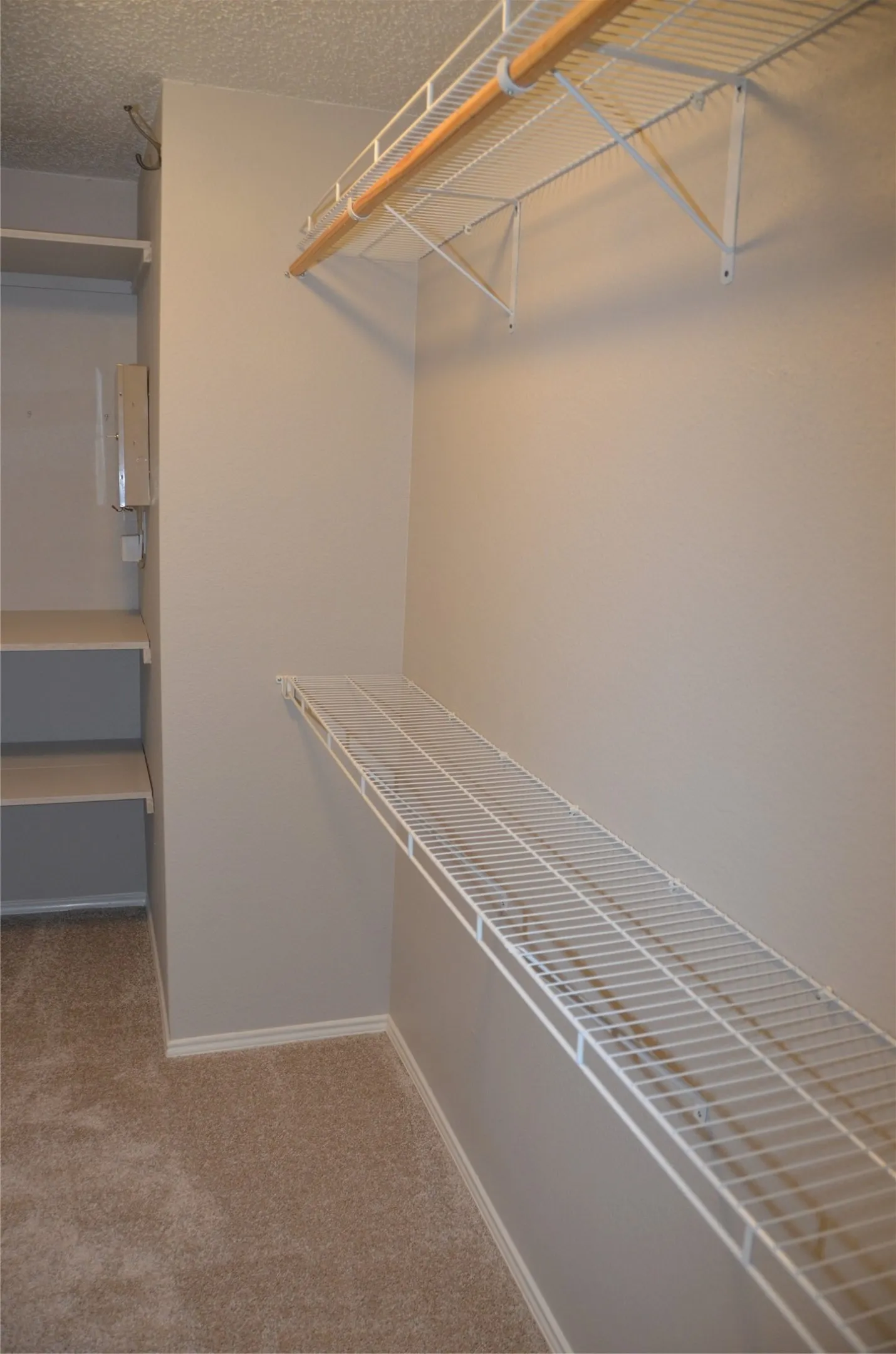 Walk-in primary closet featuring wire shelving, a wood-finish hanging rod, built-in shelving, and carpet flooring