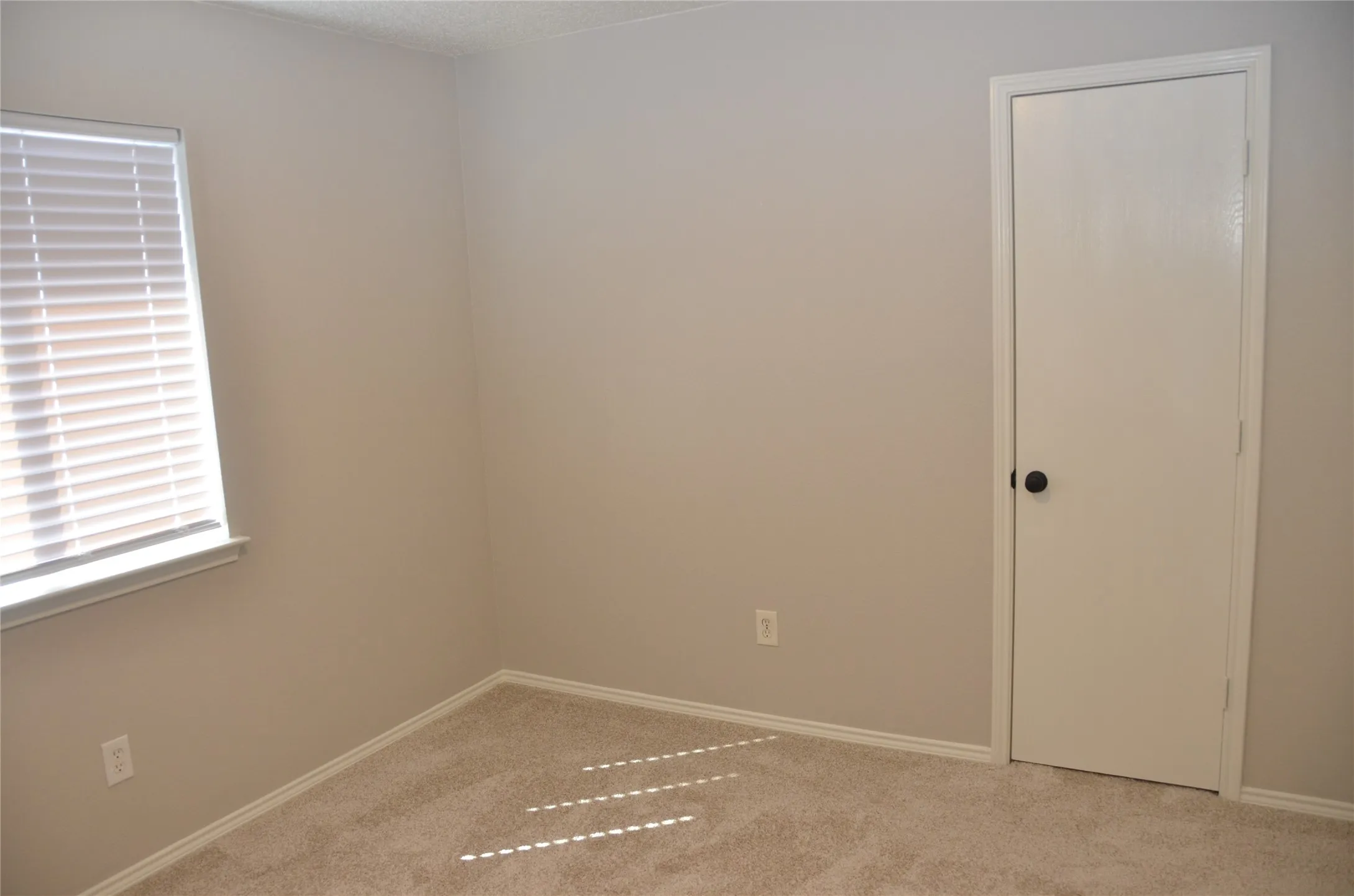Neutral wall paint, carpeting, white window blinds, and a white interior door with dark hardware