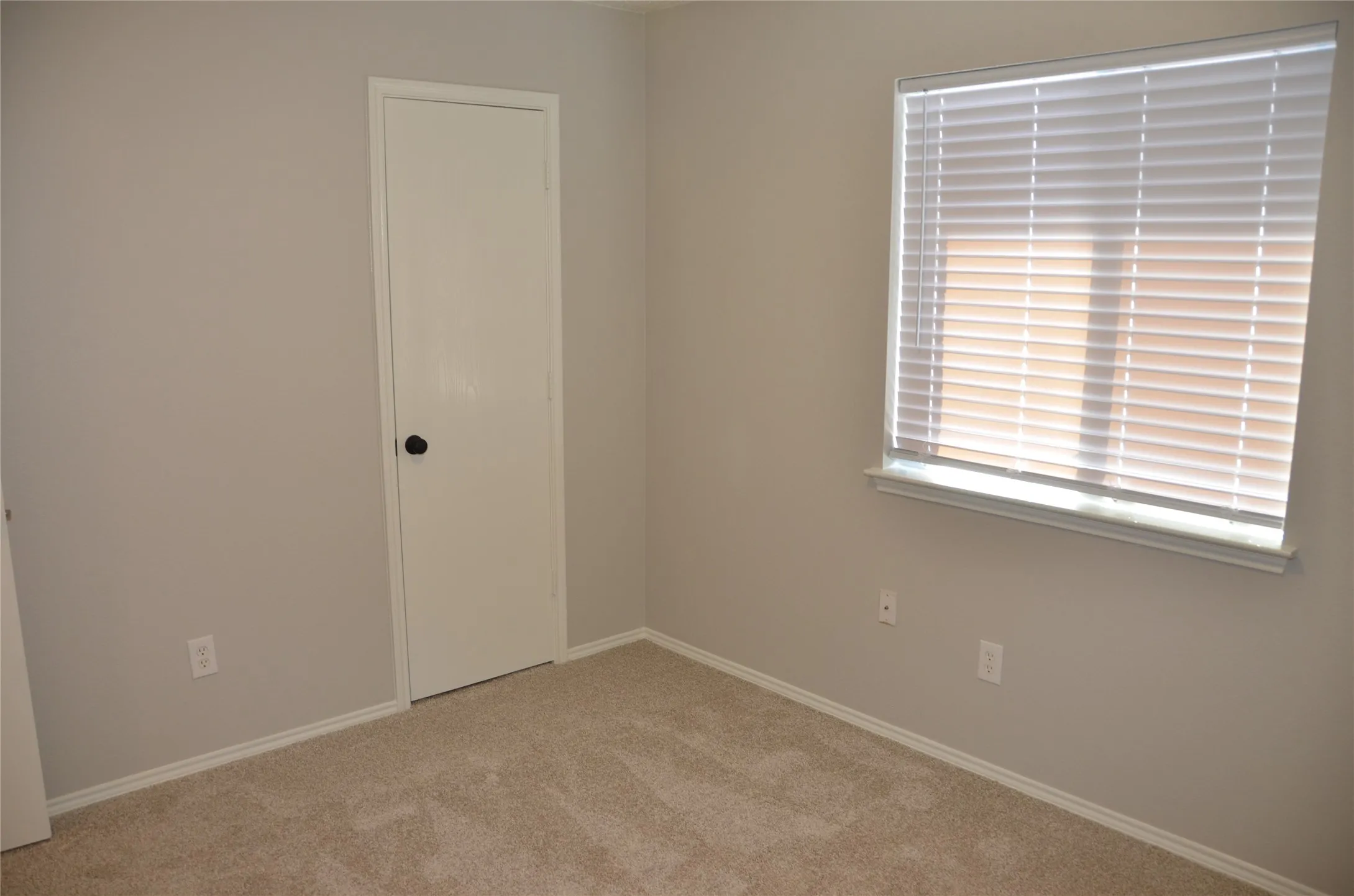 Neutral wall color, carpet flooring, window with blinds, white trim, and white door
