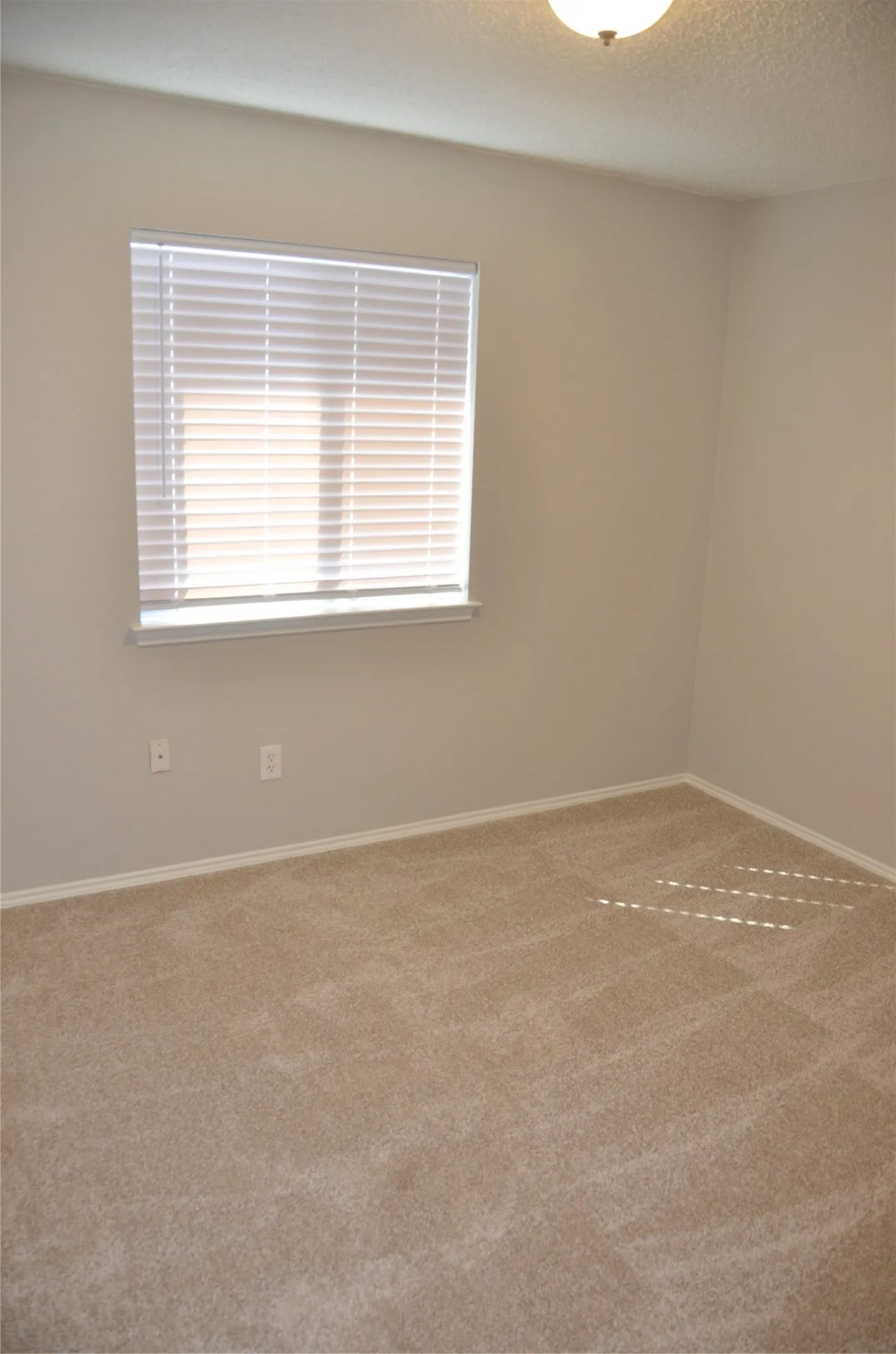 Neutral-toned walls complement plush carpeting