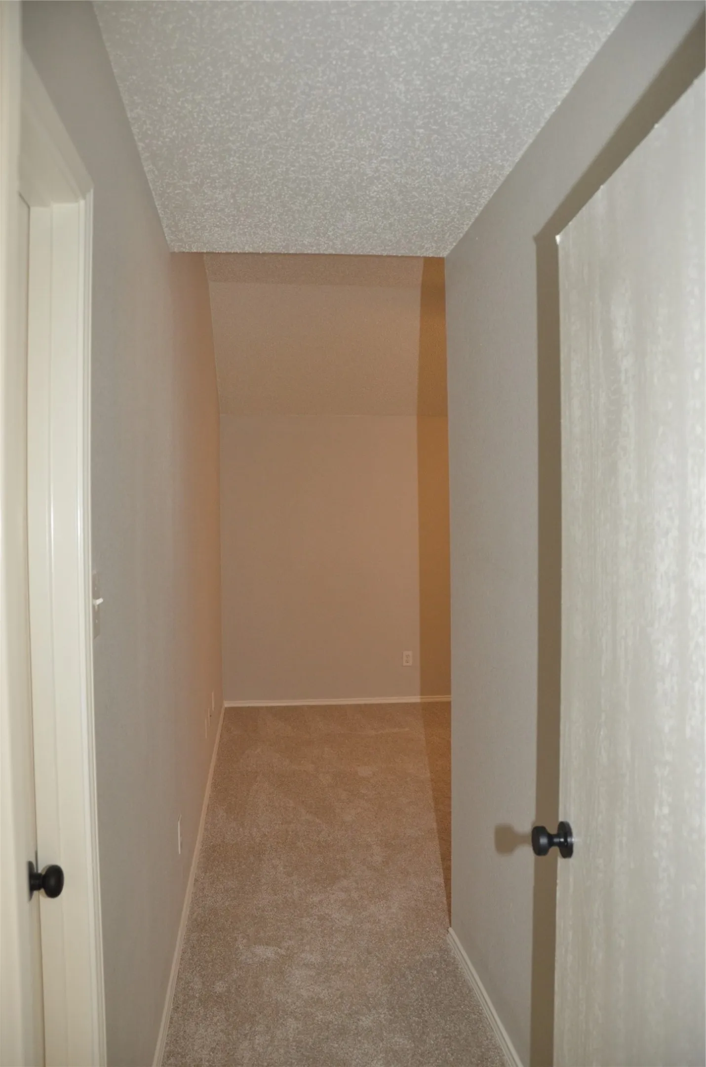 Carpeted flooring extending through a neutral-toned hallway
